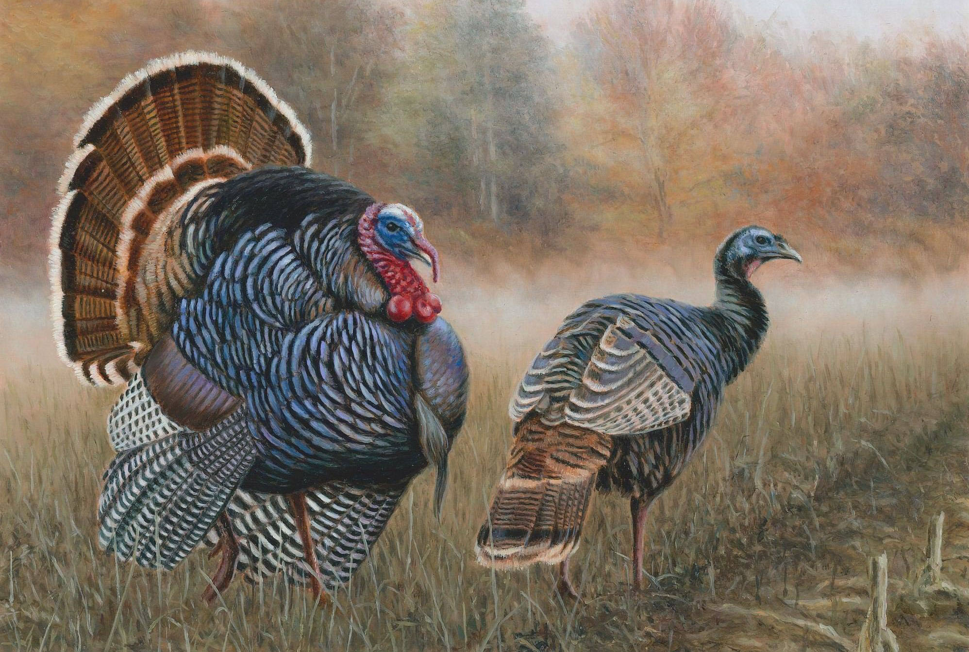 Brian Kuether is the Wisconsin Department of Natural Resources' winner of the 2020 pheasant and turkey stamp
