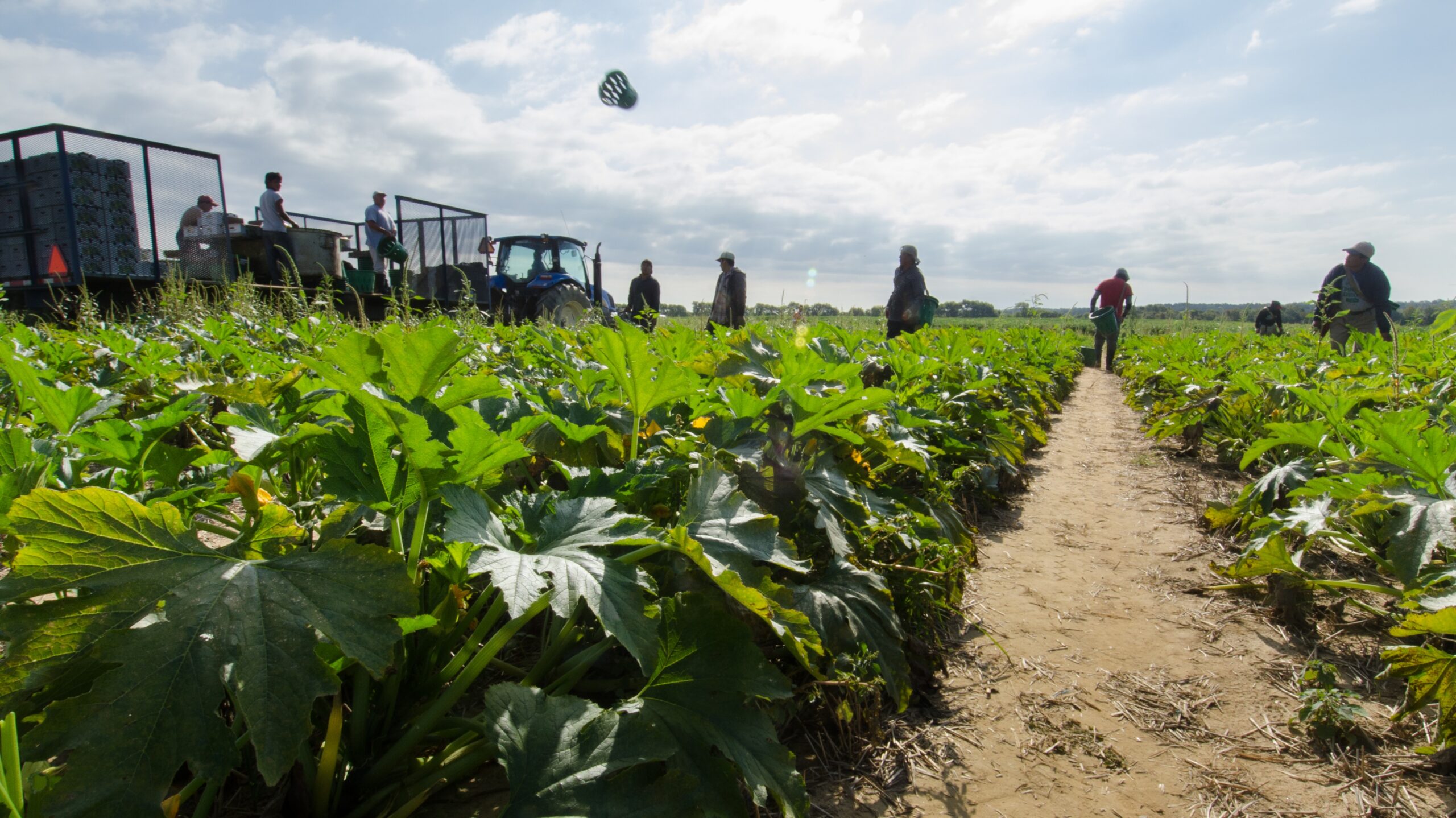 Updated state regulations aim to provide more protections for migrant farm workers