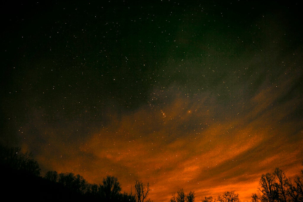 The constellation orion