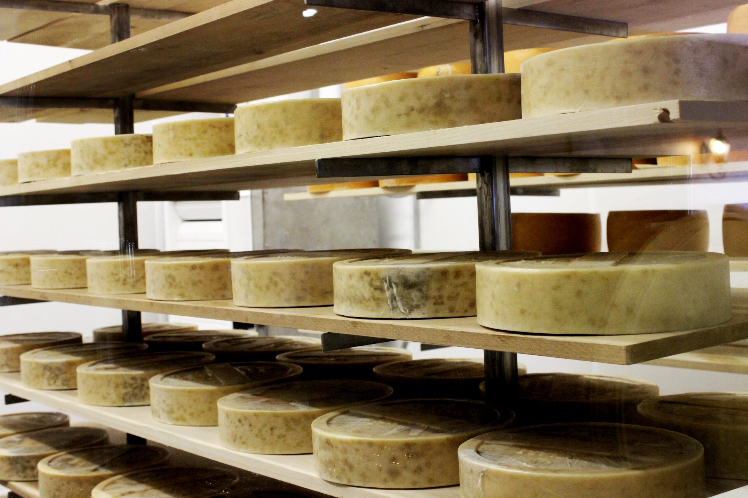 Cheese wheels displayed on shelves