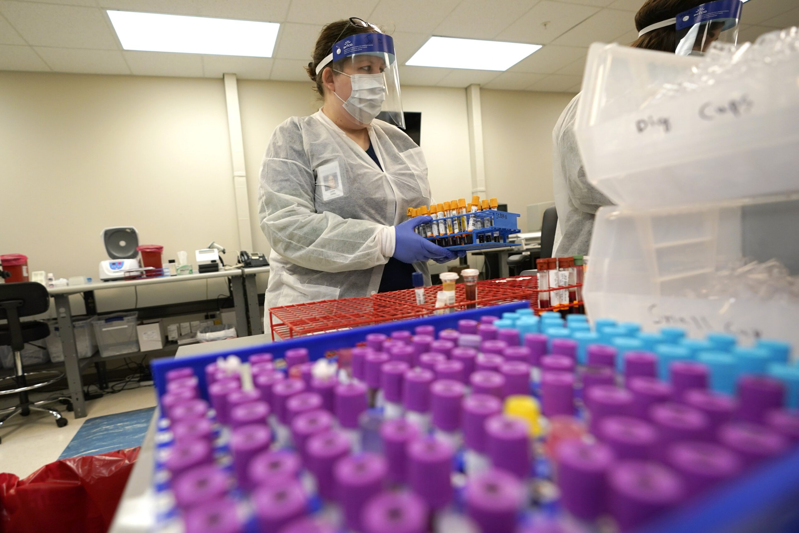 Medical technologist sorts samples for COVID-19 tests