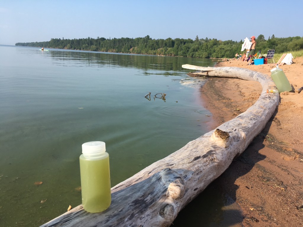 algae bloom on Lake Superior