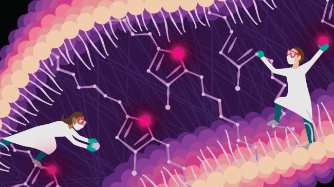 An illustration demonstrates a bacterial pathway for furan fatty acide synthesis filled with bright purple and pink colors and two animated women as helpers.
