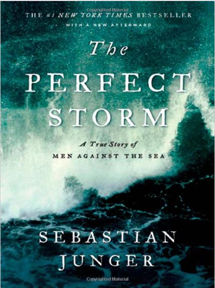 Cover photo of The Perfect Storm