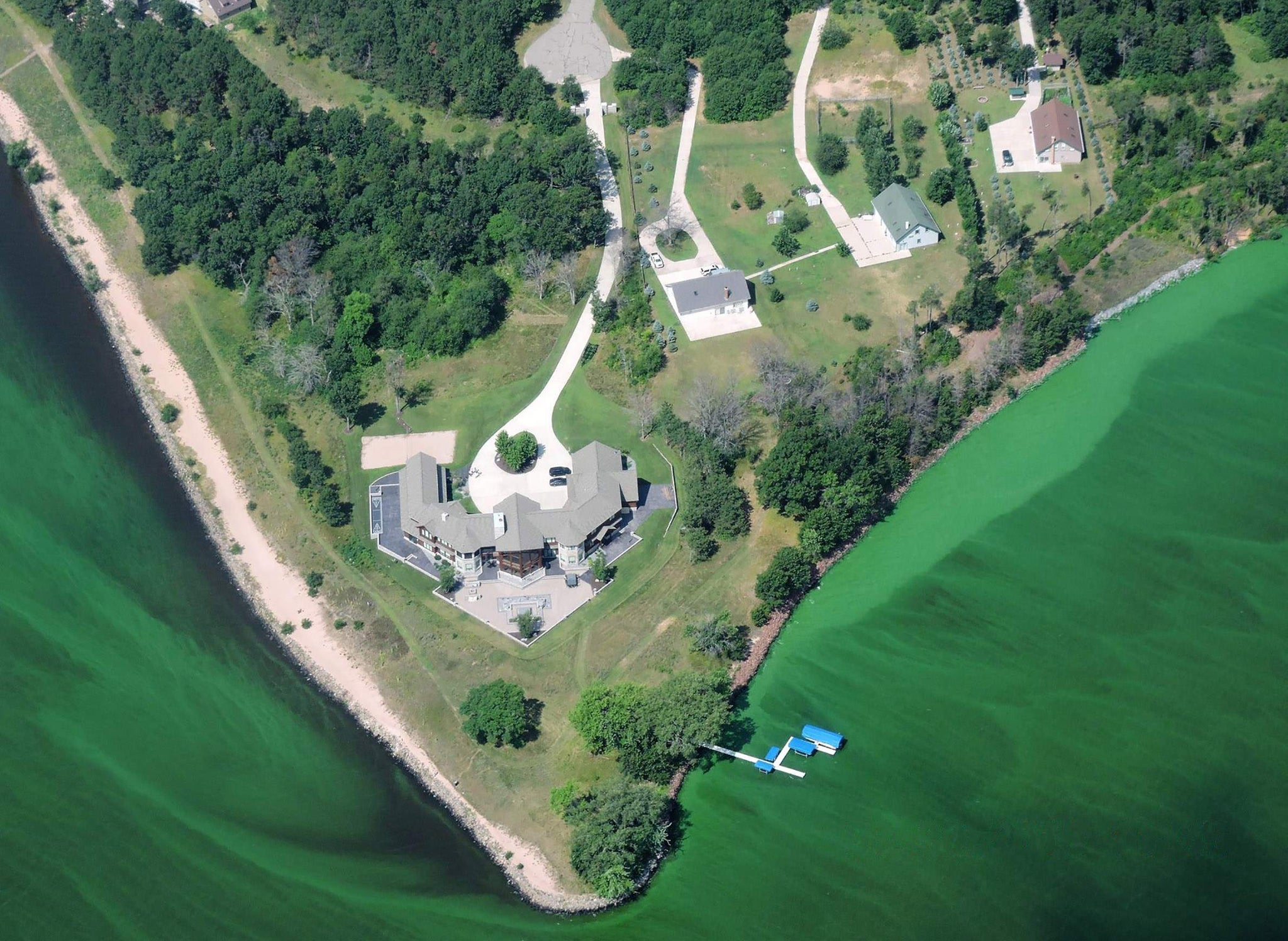 Bluegreen algae blooms on large, shallow lakes may be related to