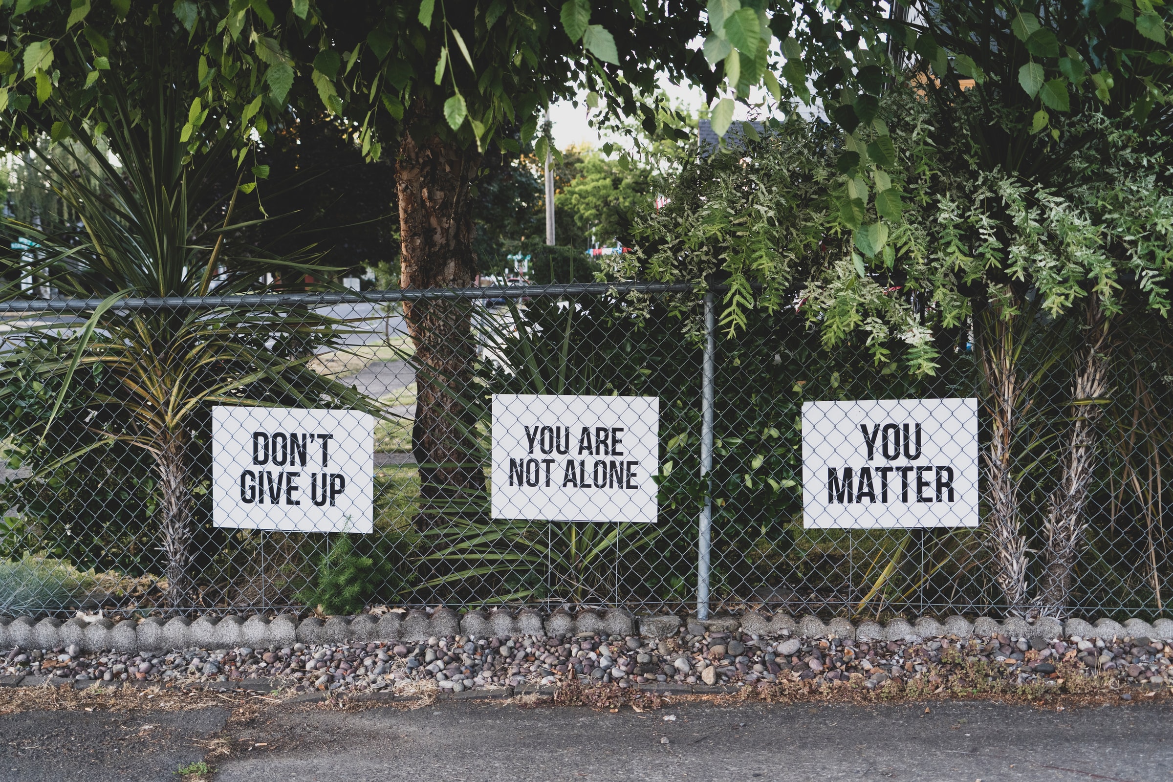 Signs reading: "Don't Give Up," "You Are Not Alone," and "You Matter"