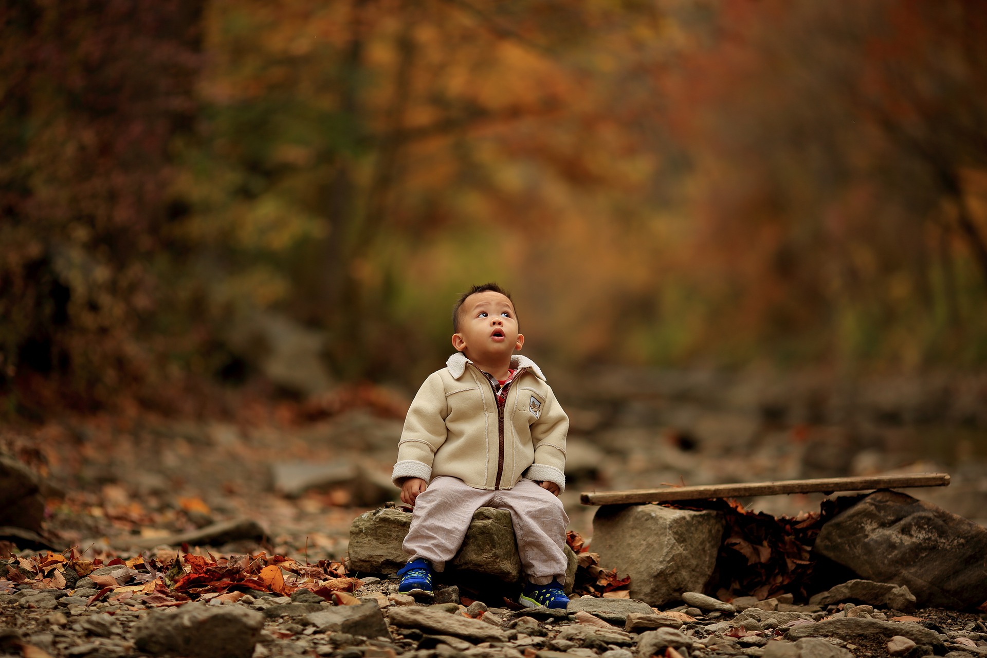 Small child sitting on rock in an autumn forest.