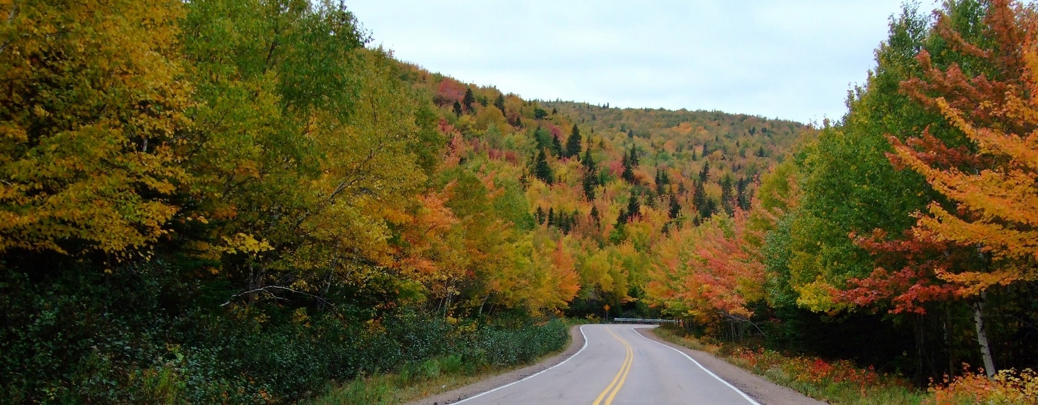 Road through a fall countryside