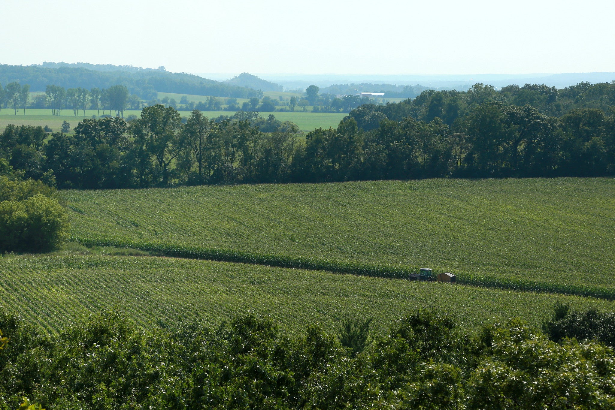 A hazy view of Magnolia Bluff County Park in Evansville.