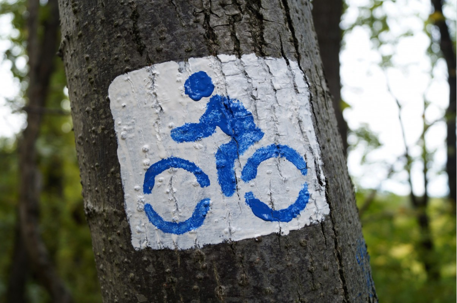 tree with bike sign painted on it