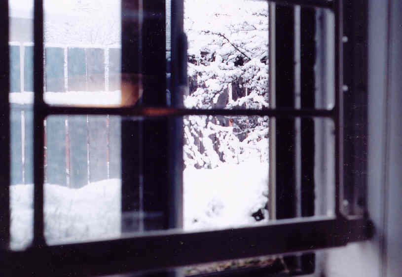 Home of a window looking out at snowy tree