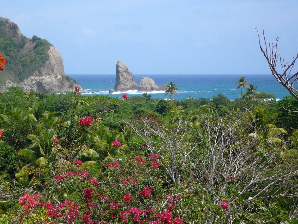 #1375 October 24, 2020 Live Broadcast