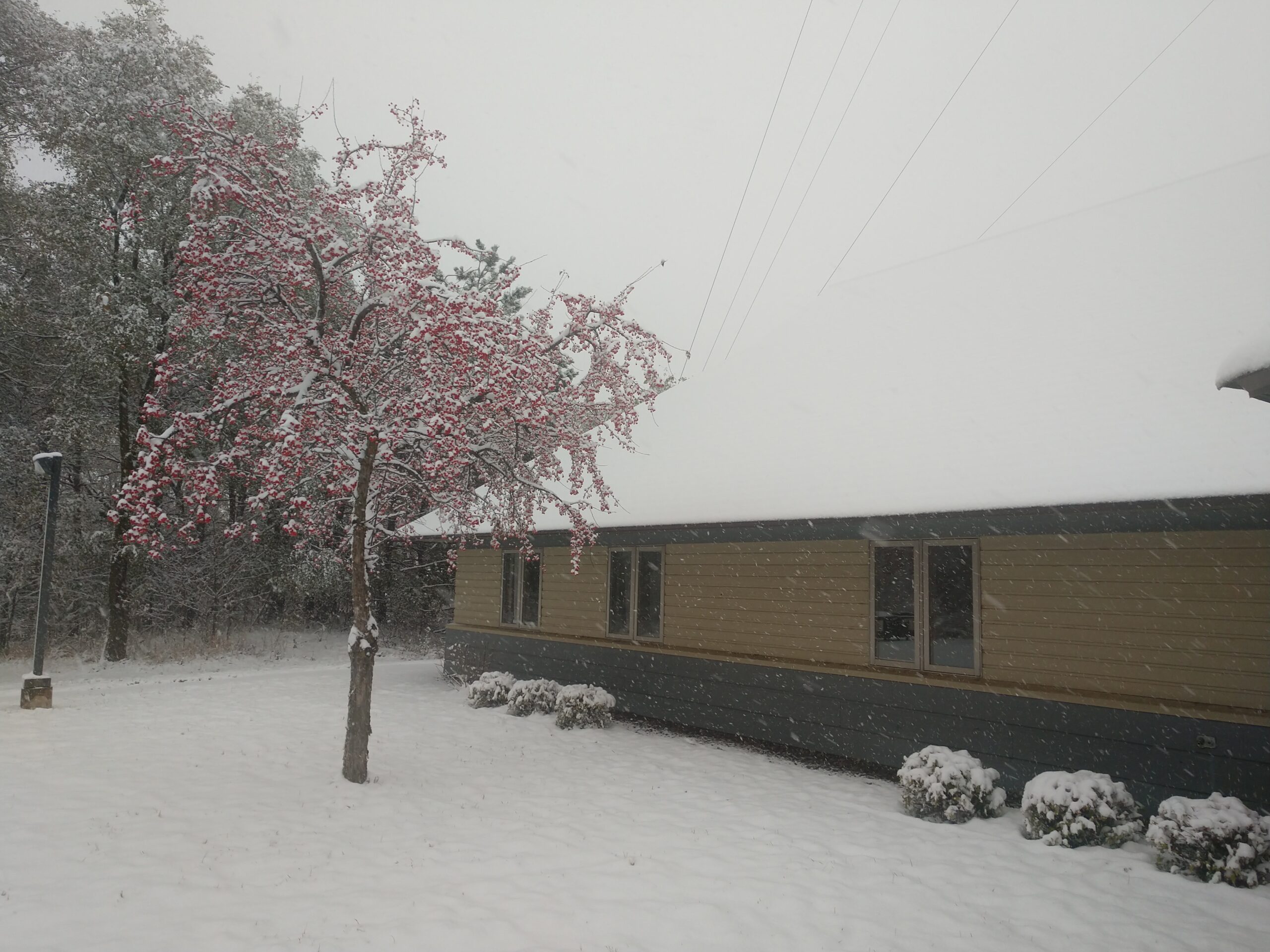 The ground, foliage and roof are lightly snow covered in front of a brown, one story building/
