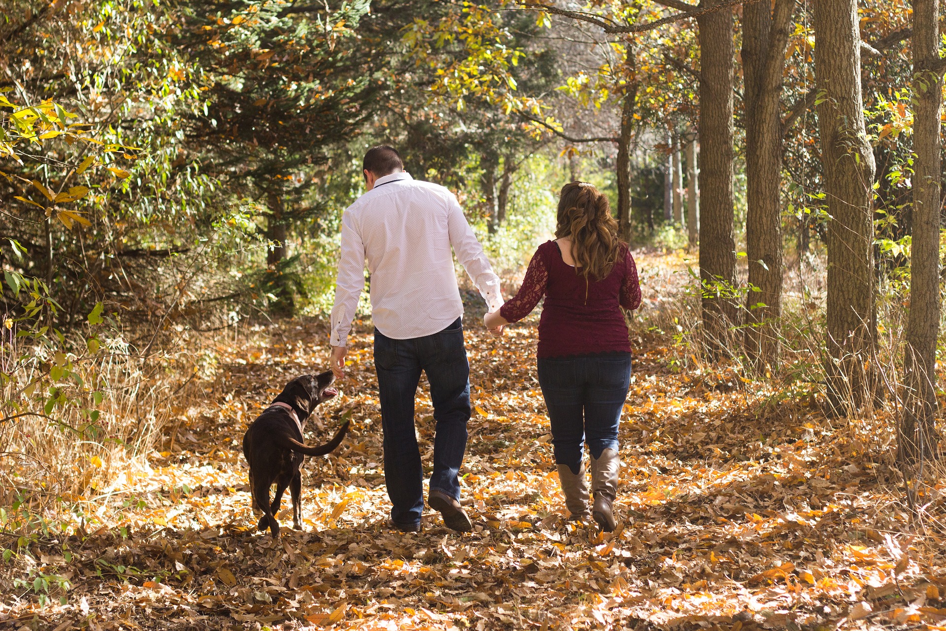 Couple walking dog on trail in fall.