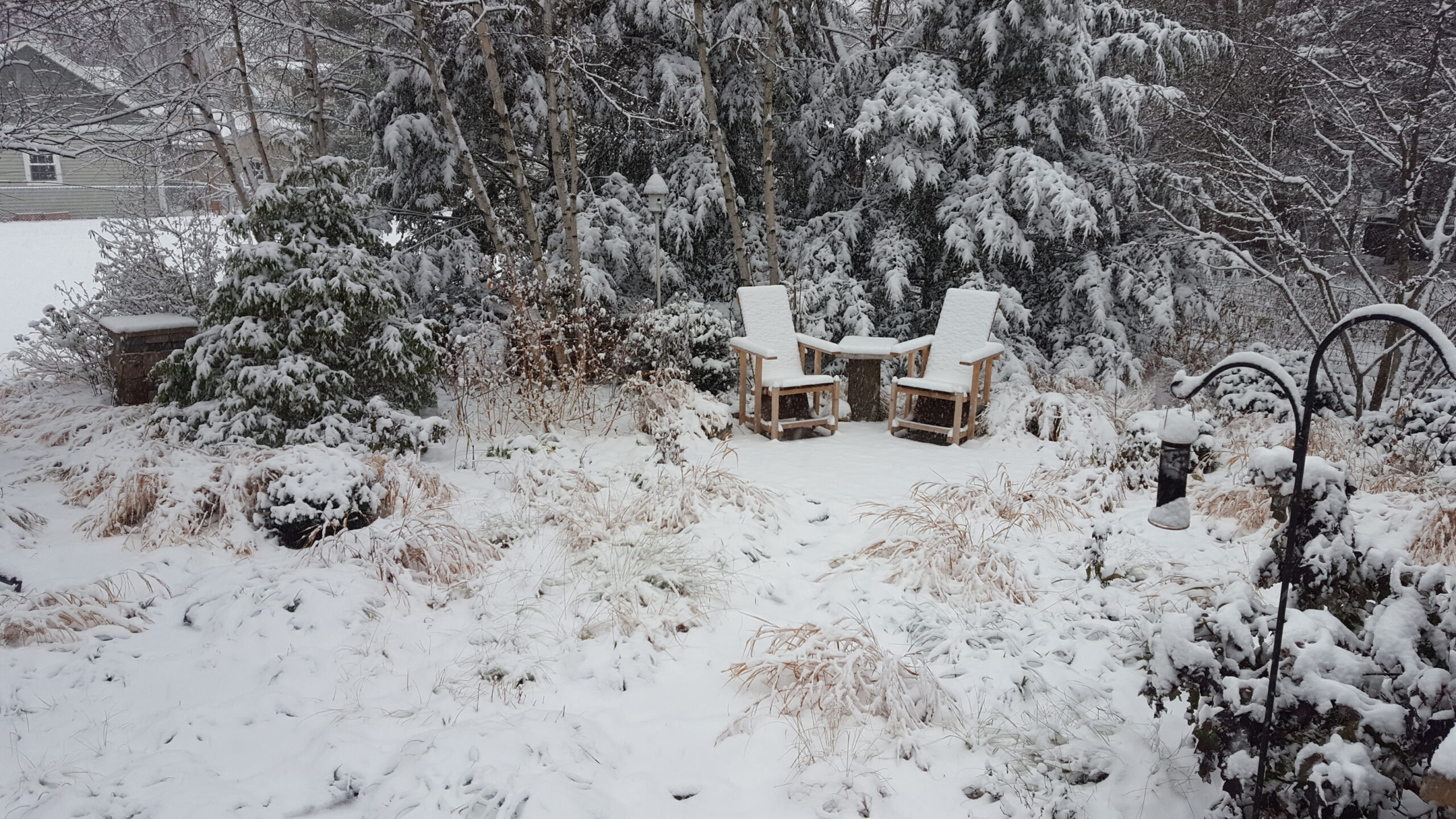 Two chairs in a winter garden.