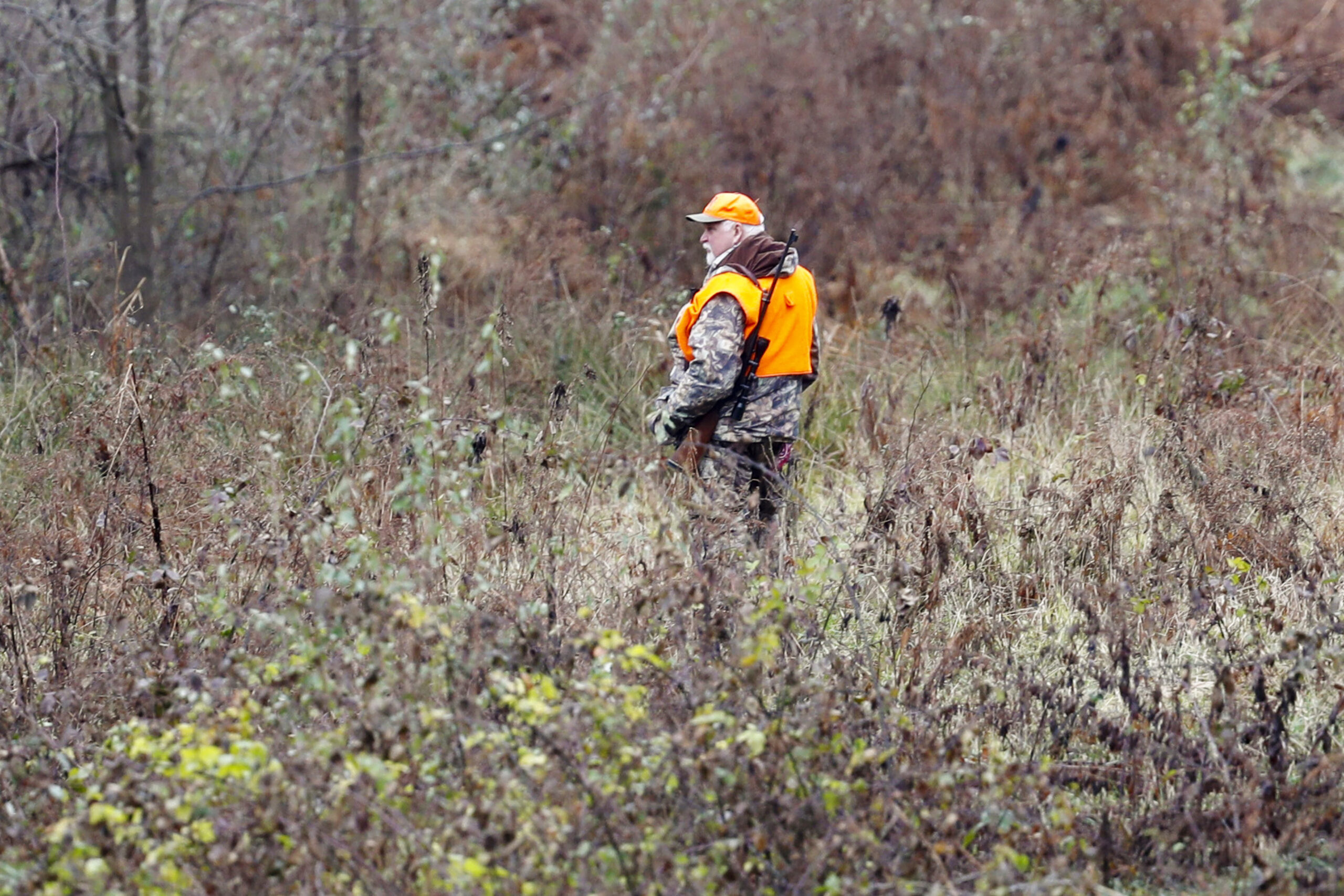 Hunter in woods during hunting season