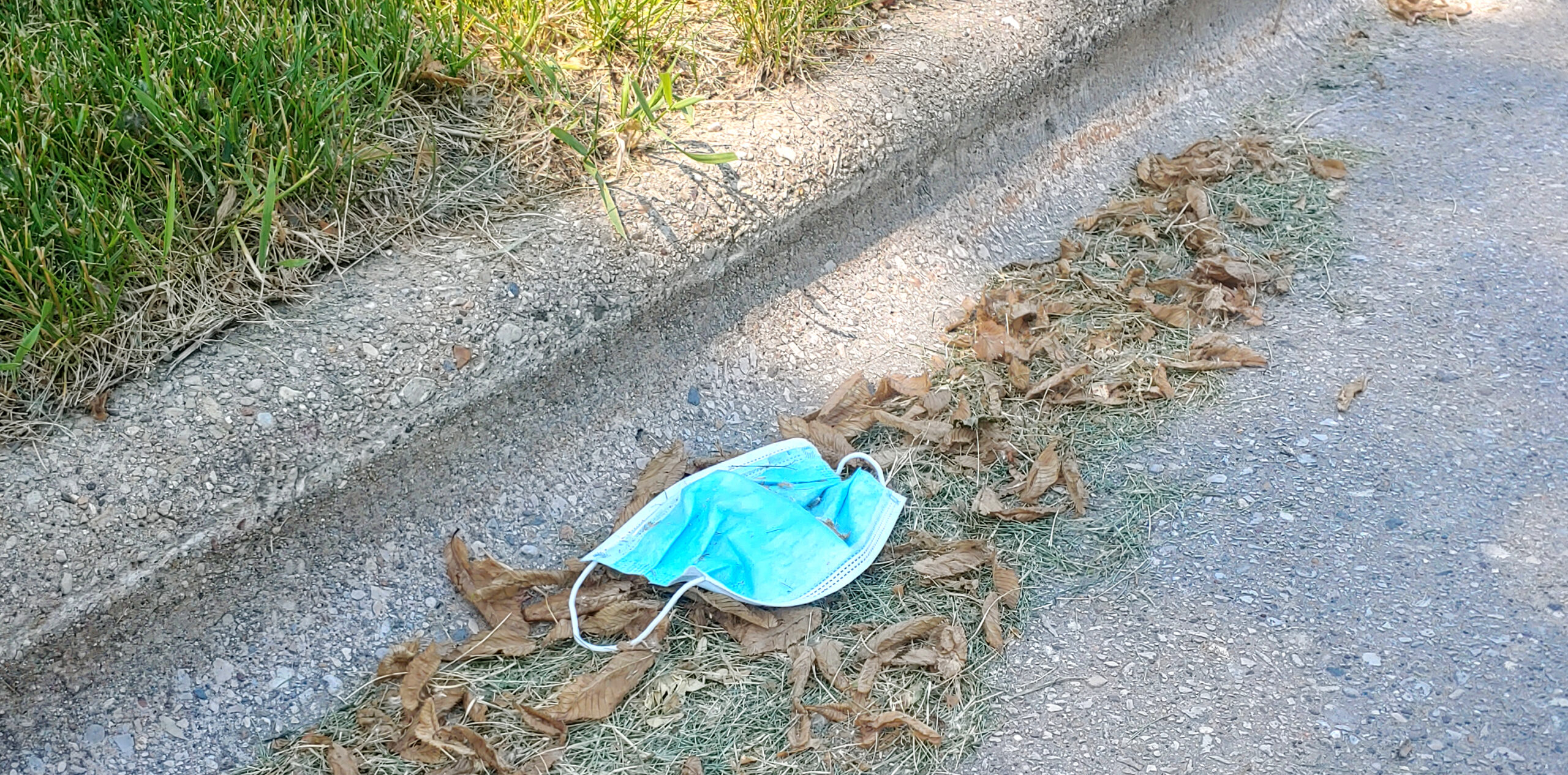 A surgical mask, which are now commonly used to protect the wearer from the coronavirus, discarded on a northside Madison street.