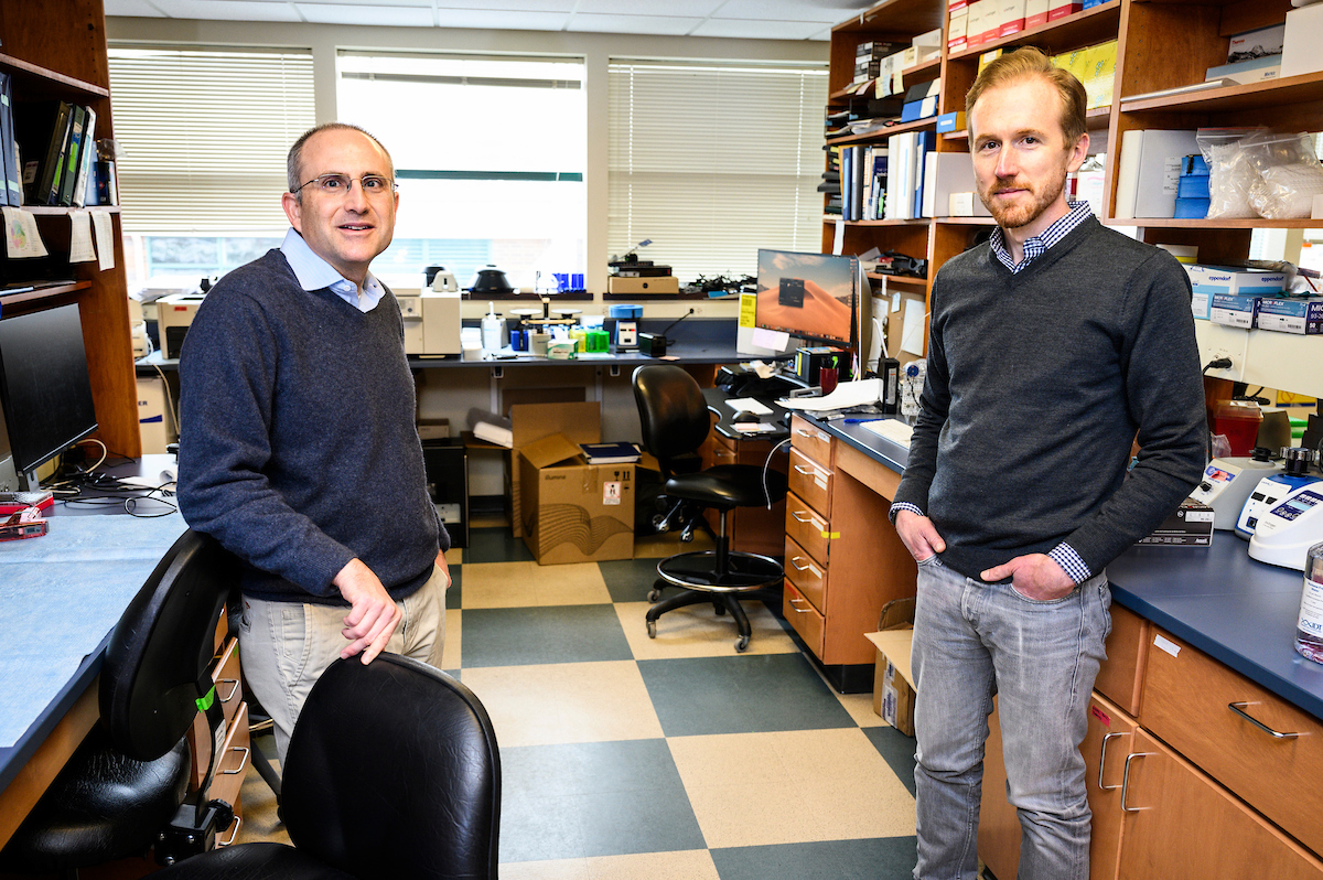 Researchers David O'Connor and Thomas Friedrich