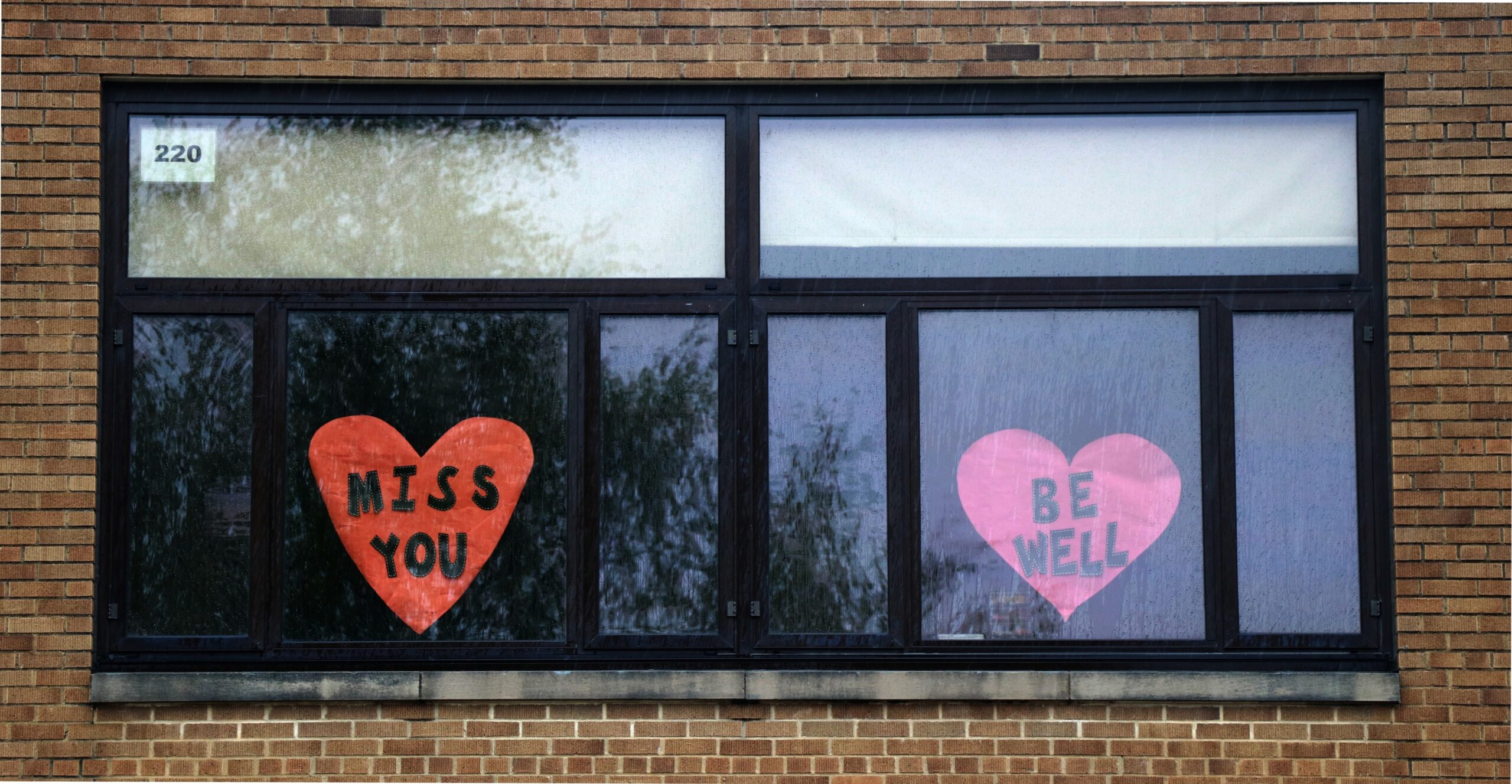 Signs of encouragement in windows of a Madison school