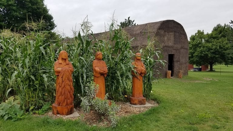 Three female statues are placed at the edge of a garden plot where corn is towering over their heads.