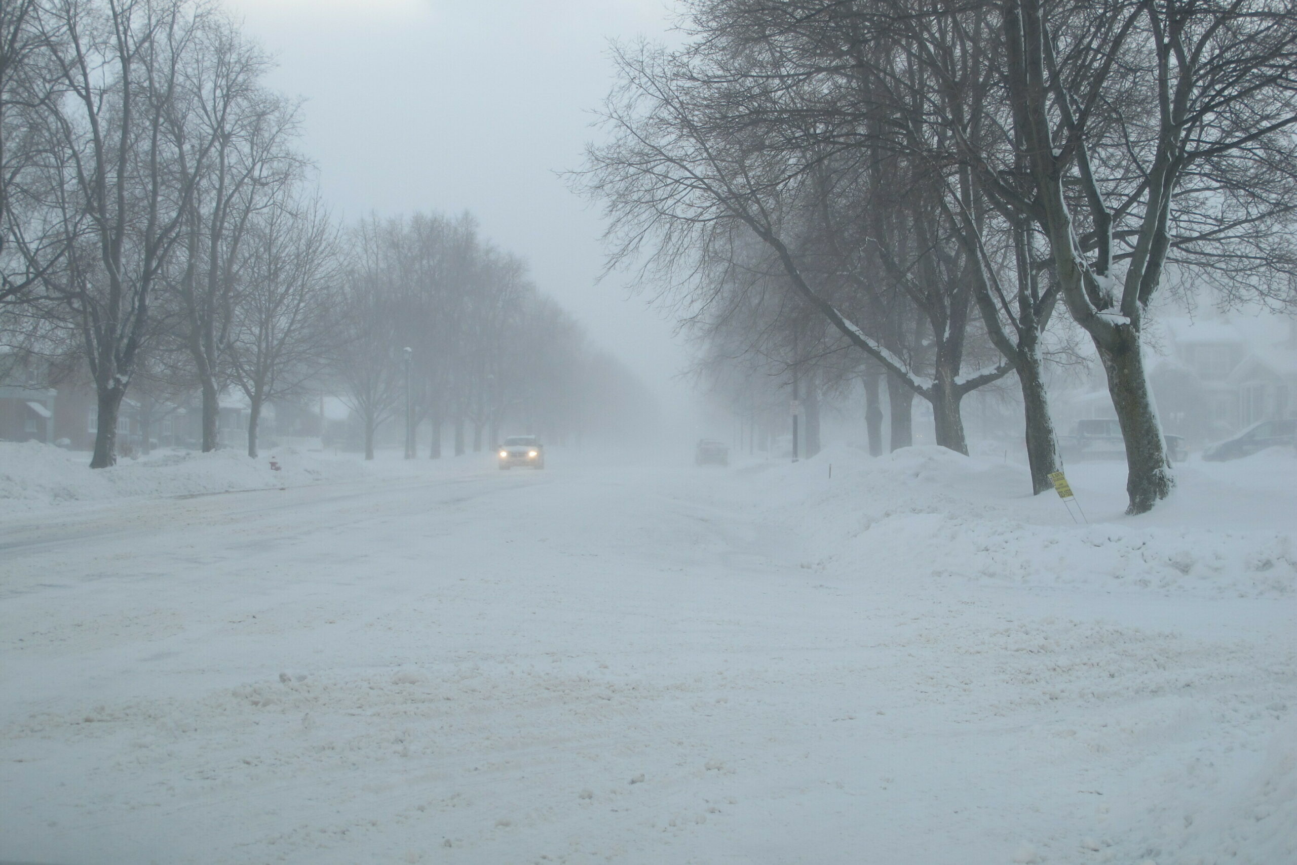 A car navigates blowing snow