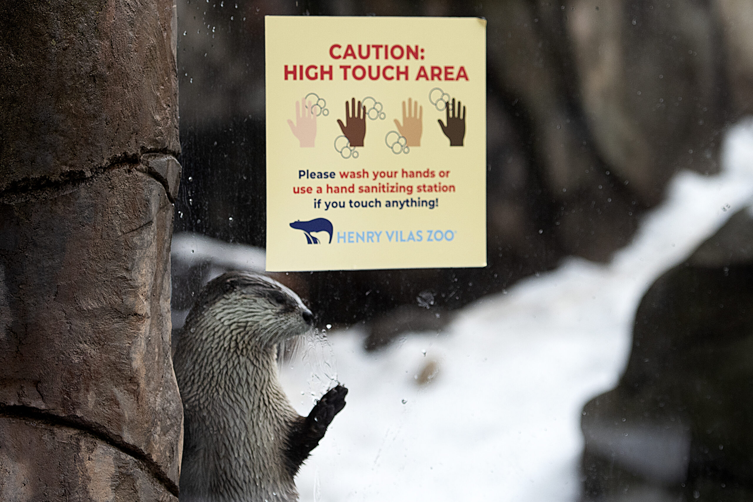 An otter reaches out to the glass. A sign says "CAUTION, HIGH TOUCH AREA"