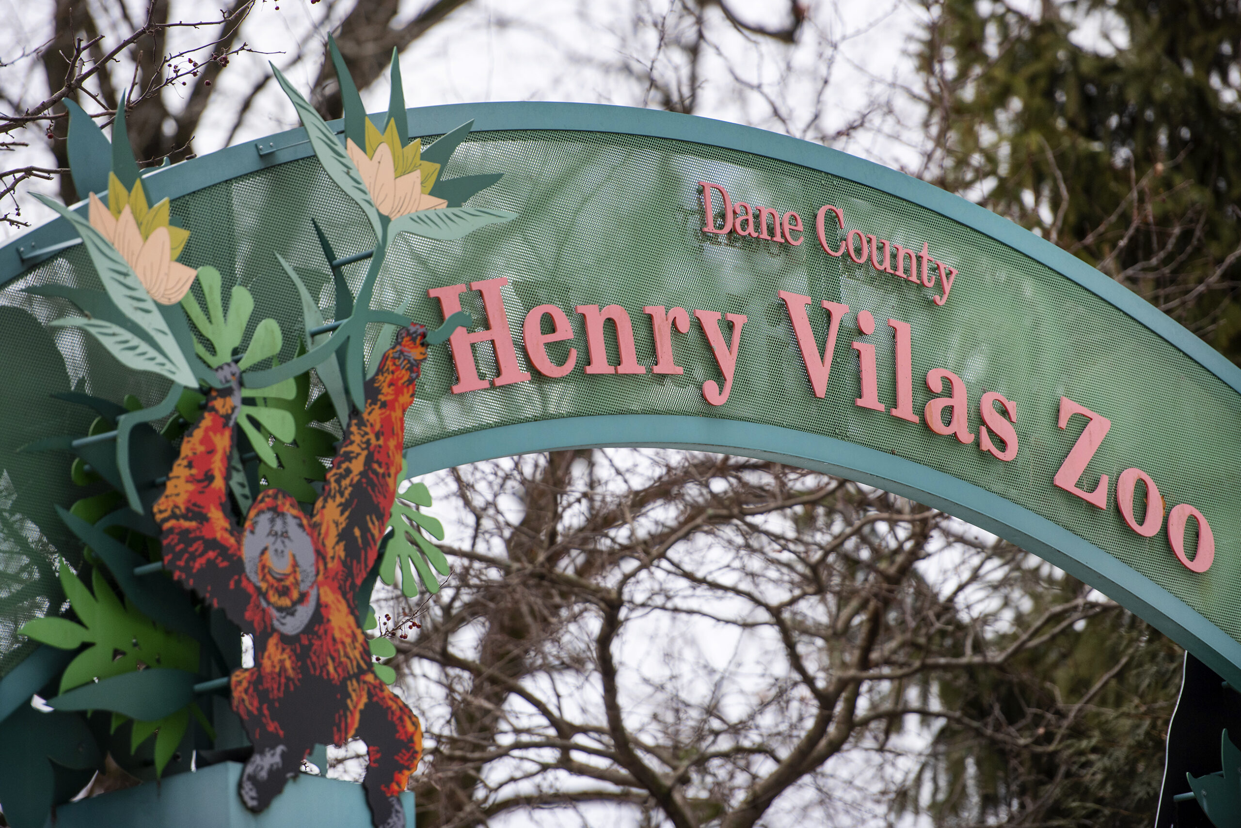 A green archway displays the words "Dane County Henry Vilas Zoo"