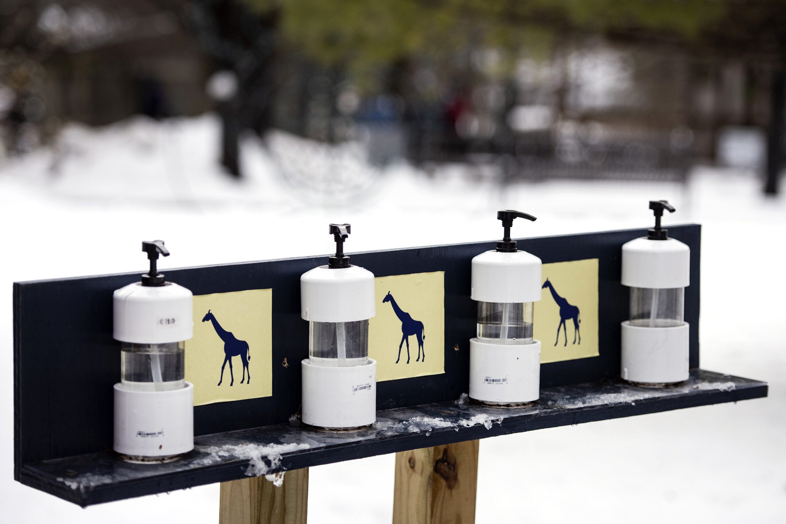 Four bottles of hand sanitizer are separated by illustrations of giraffes