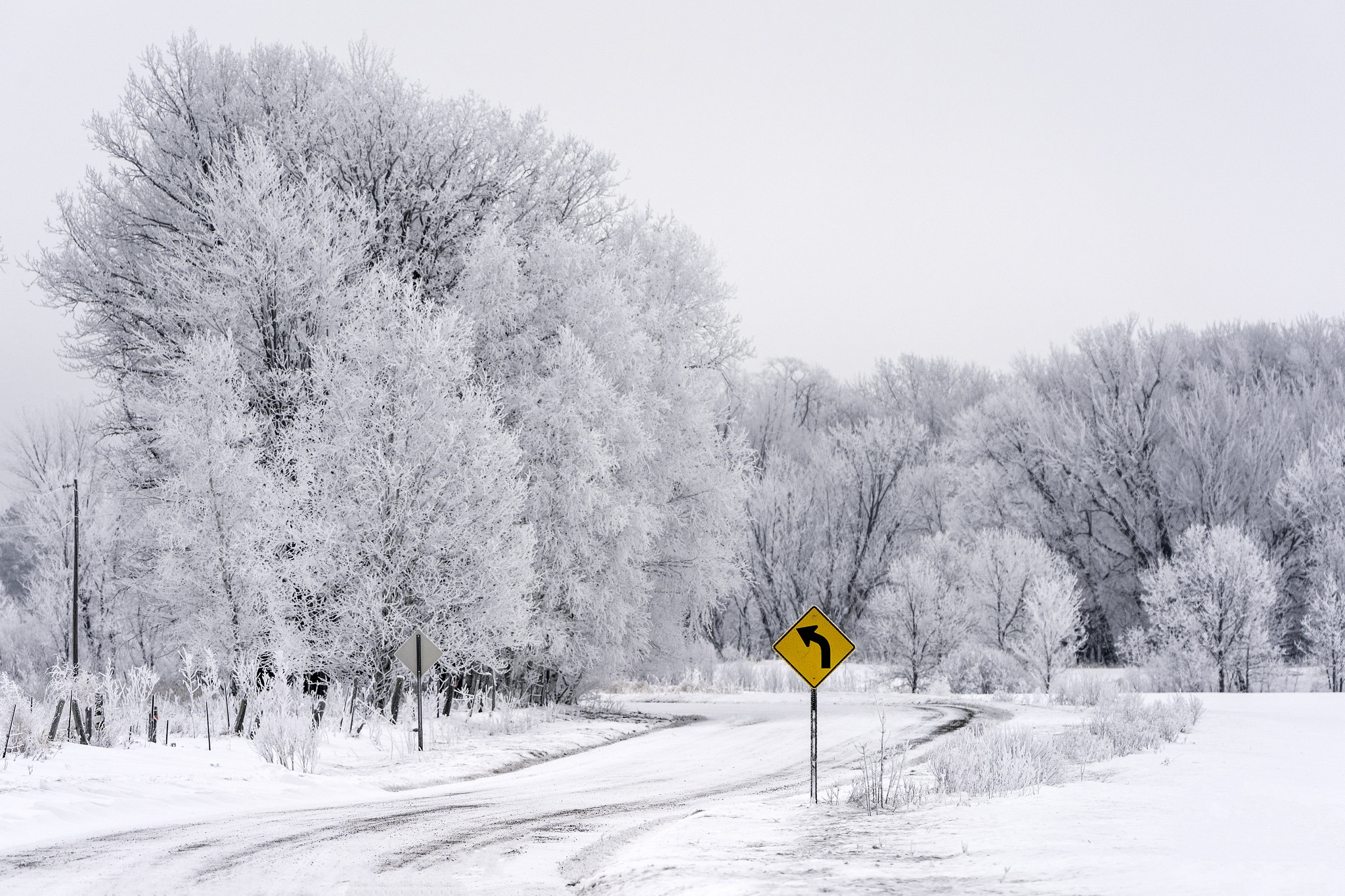 A road sign is featured against a contrasting background of snow-covered windy road with frost covered trees.