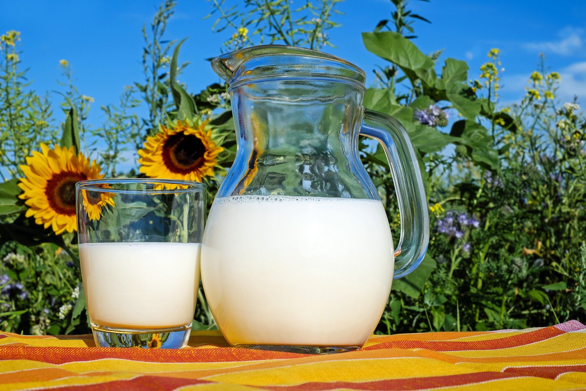 A jug of milk sits next to a glass of milk in front of sunflowers