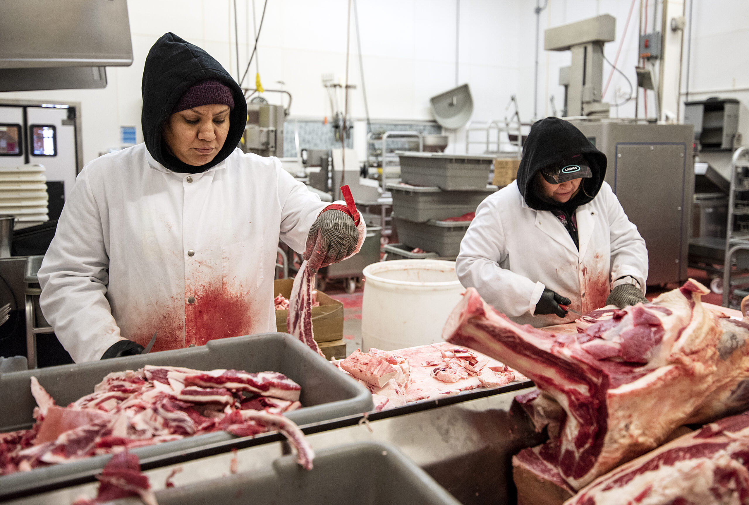 Two workers in white jackets and black hoodies separate pieces of raw meat on a large table.