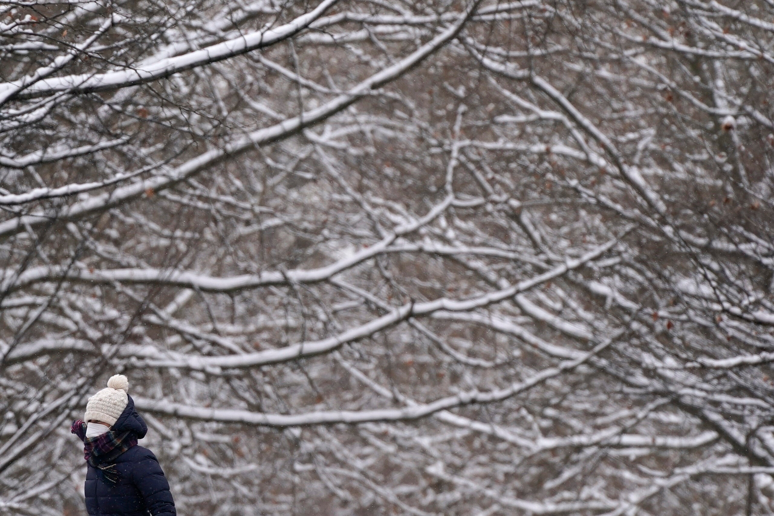 A person walks past snow-covered tree branches as they wear a face mask to protect against the spread of COVID-19