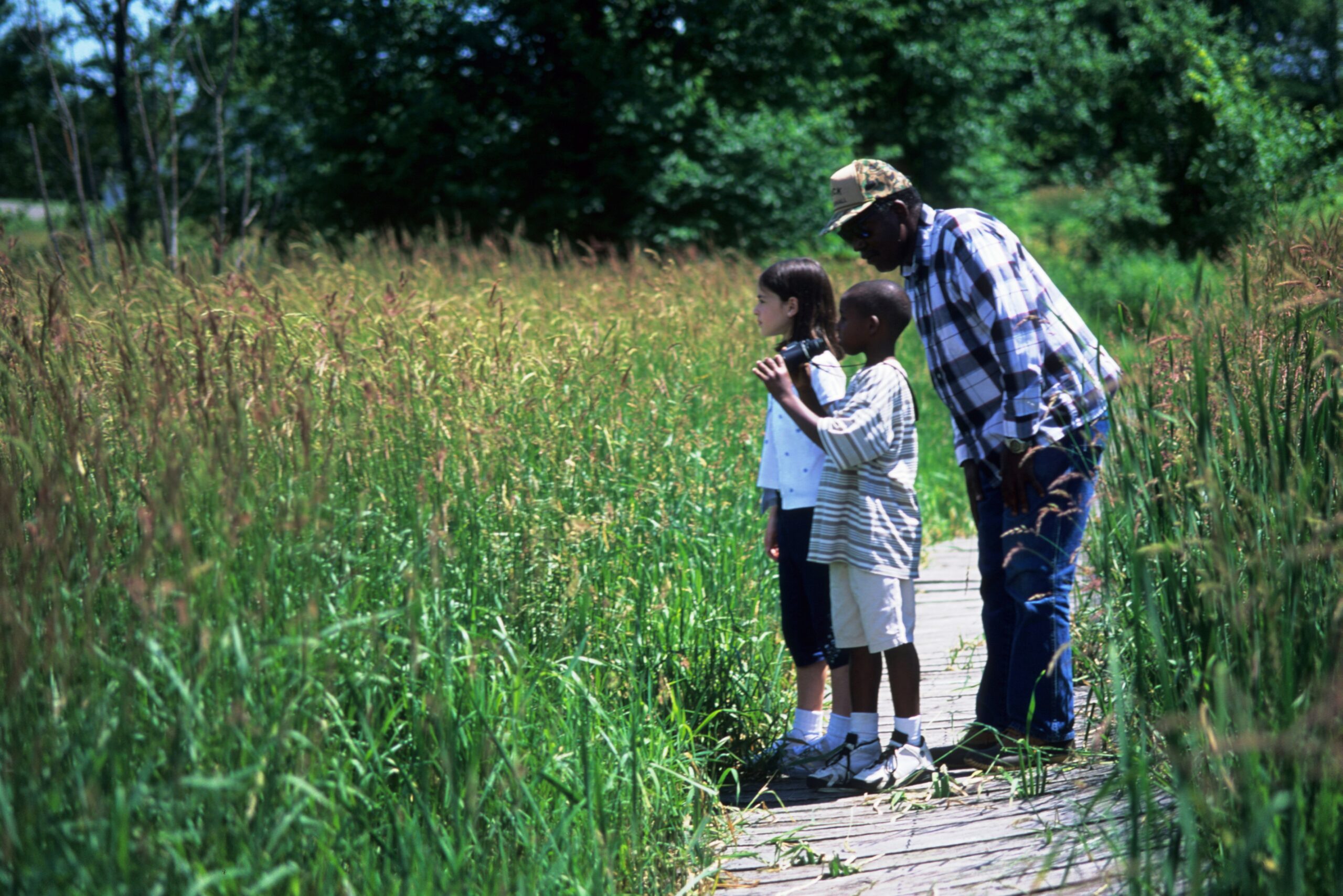 Young children learn about wetland ecology at Aldo Leopold Center