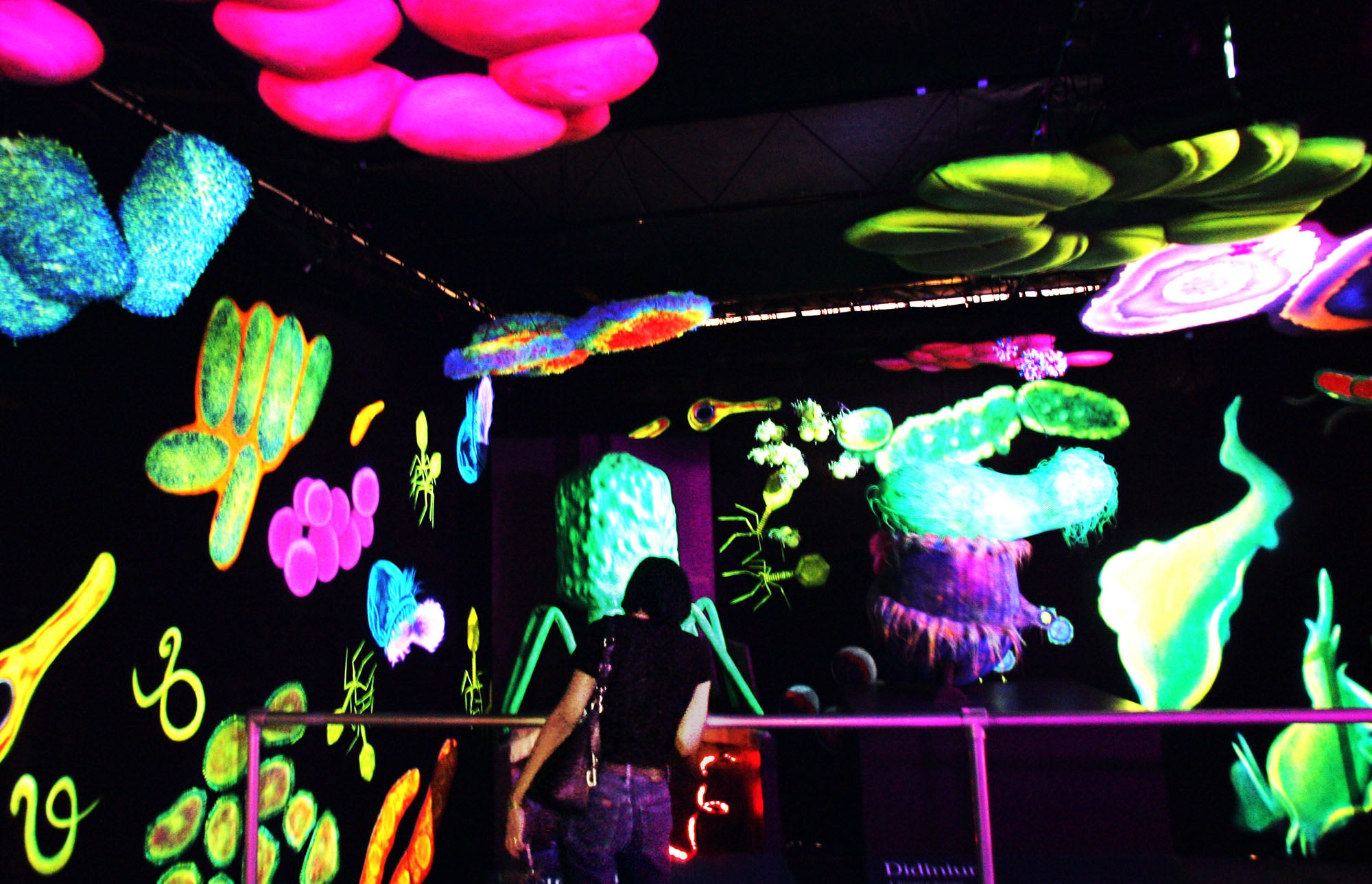 display of giant microbes and germs