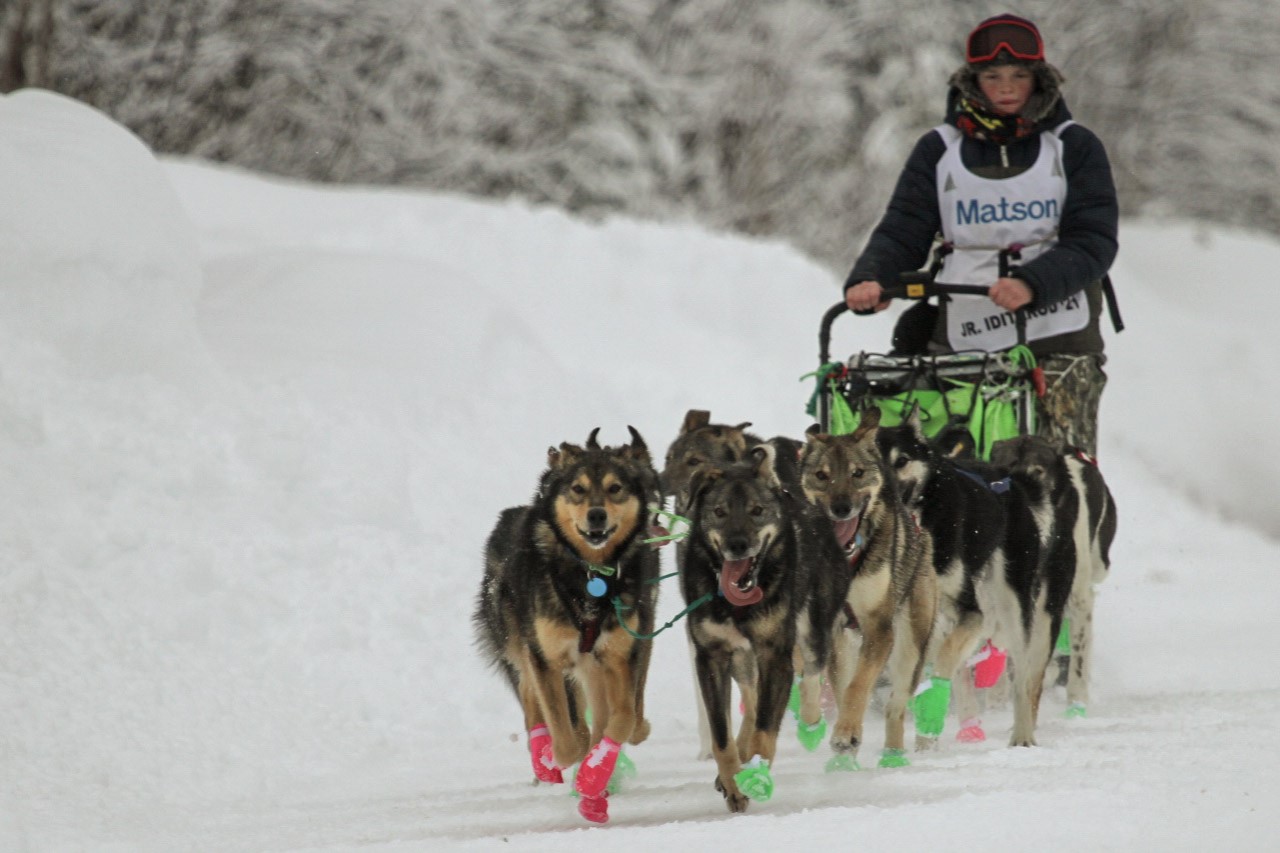 An Earthquake, 150 Miles And 27 Hours Later, Wisconsin Teen Wins 2021 Jr. Iditarod Sled Dog Race
