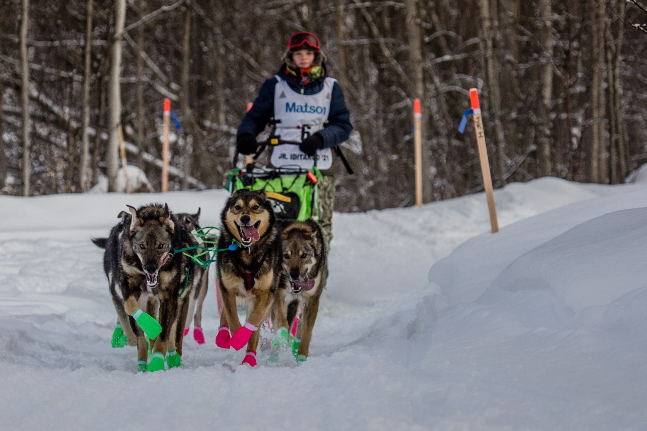 Morgan Martens Wins Jr. Iditarod