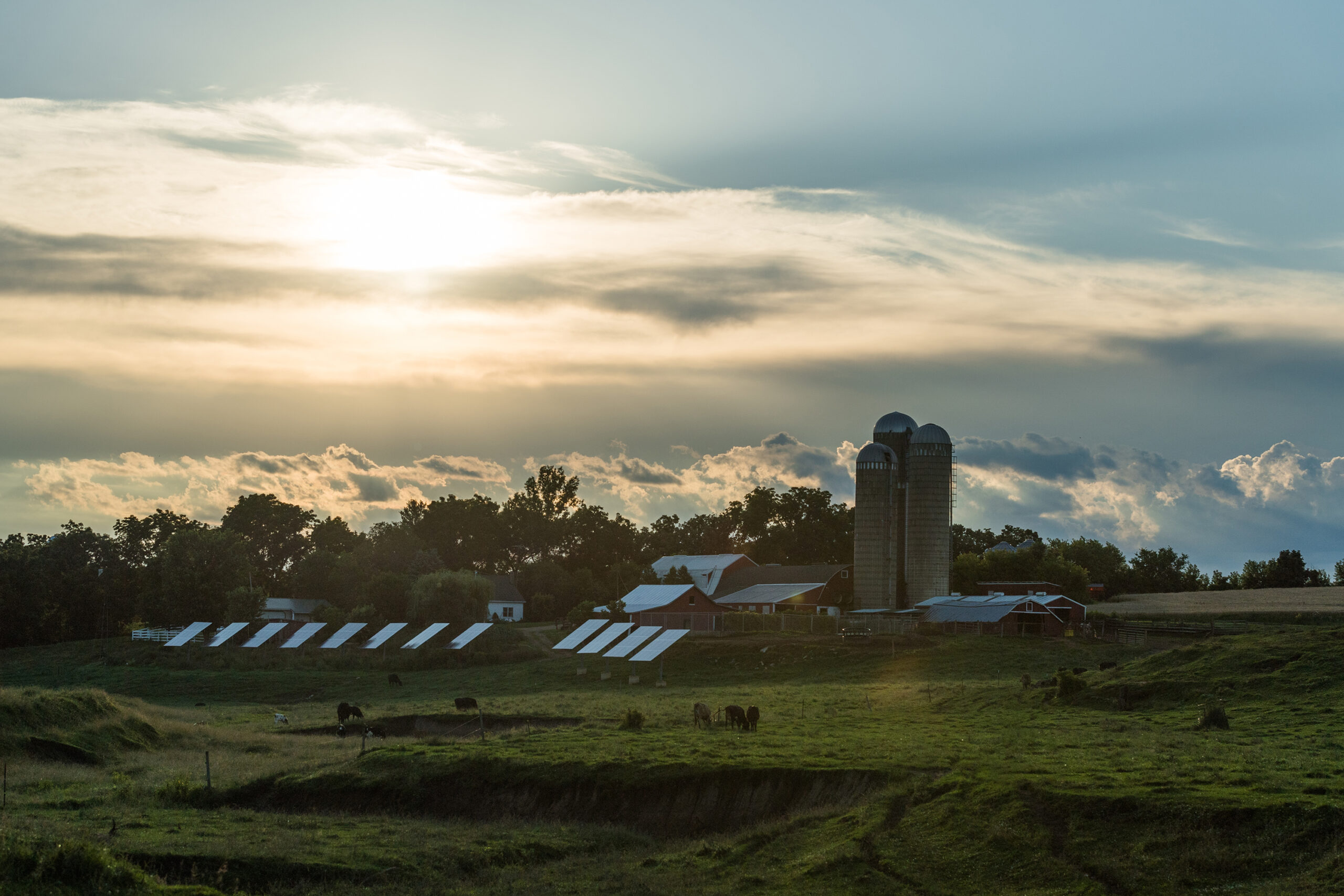 A farm with solar panels