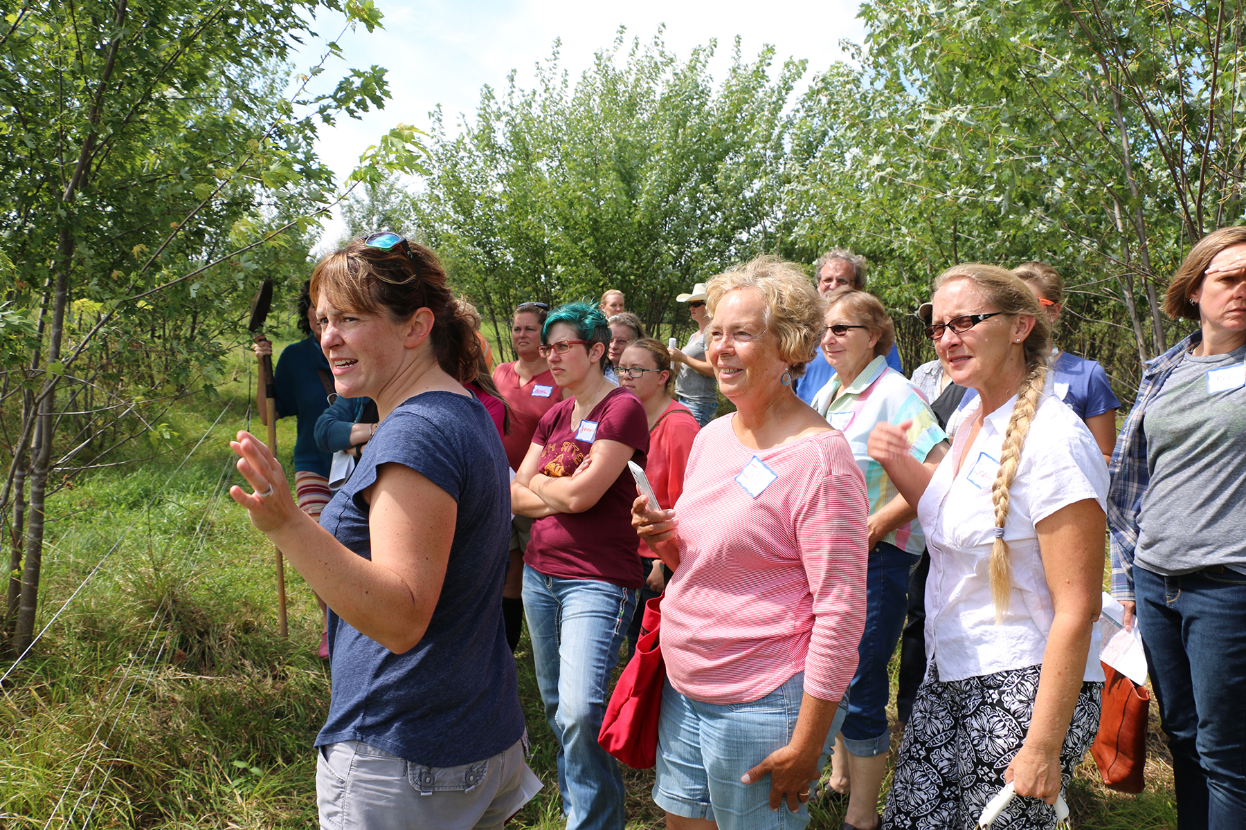Wisconsin Women in Conservation's “Women Caring For The Land” pre-COVID field day with Wisconsin Farmers Union.