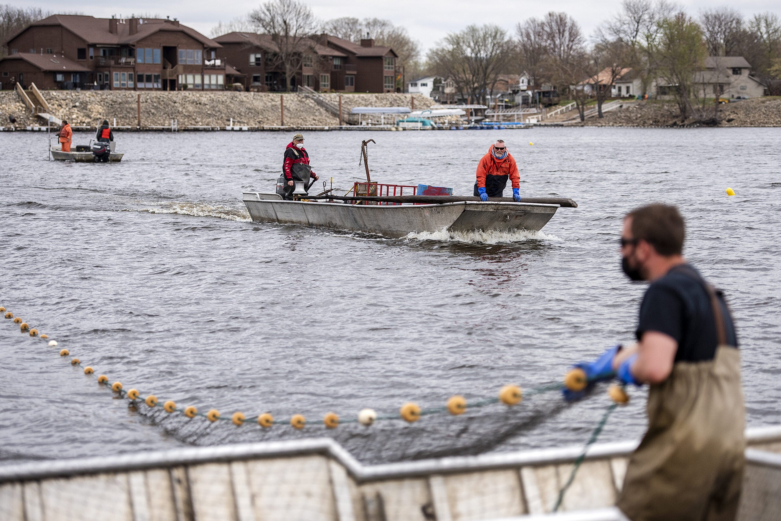 Two boats float toward the shore as a worker in waders pulls on a large net from inside a boat.