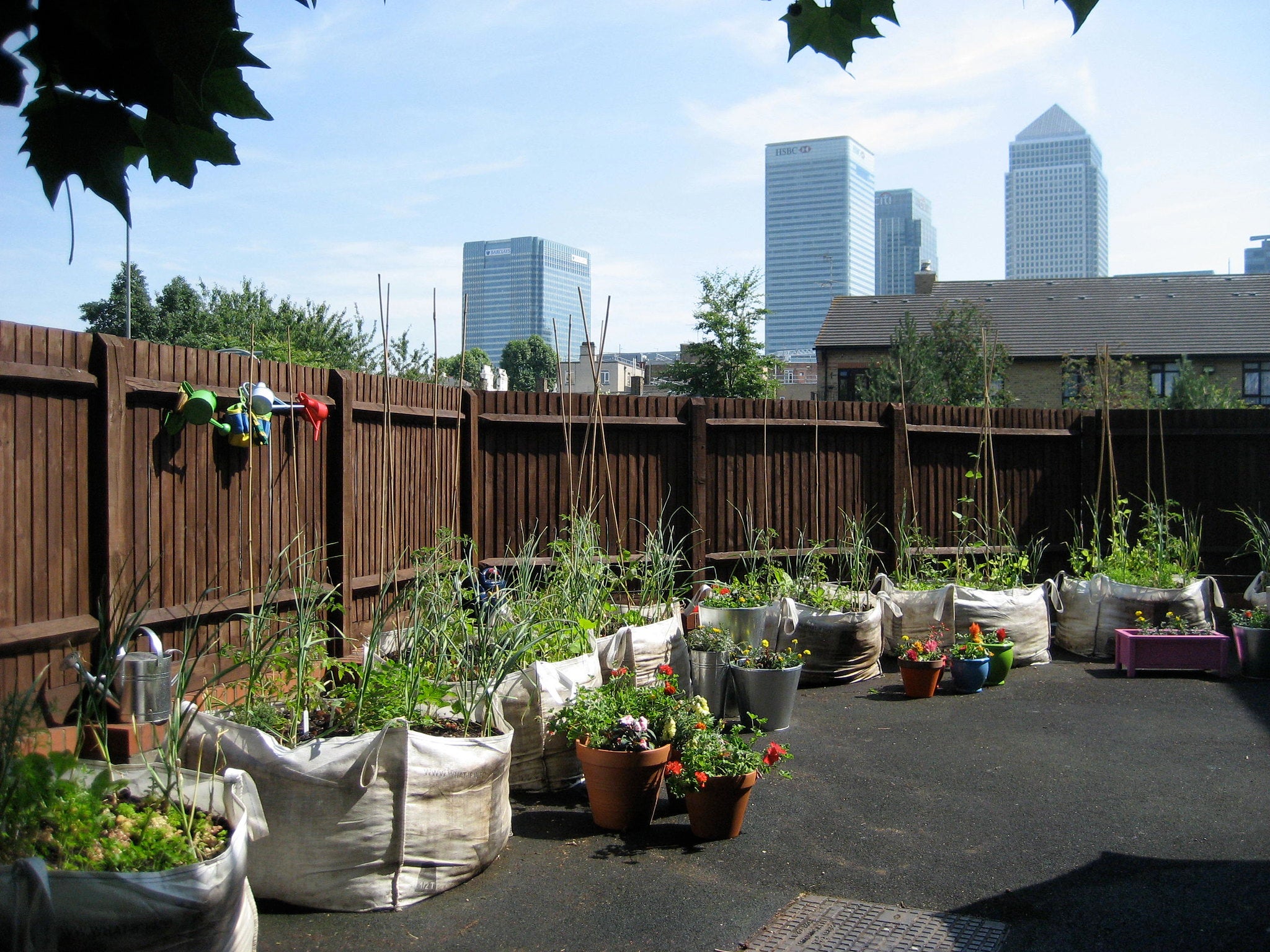 Garden on asphalt using fabric containers.