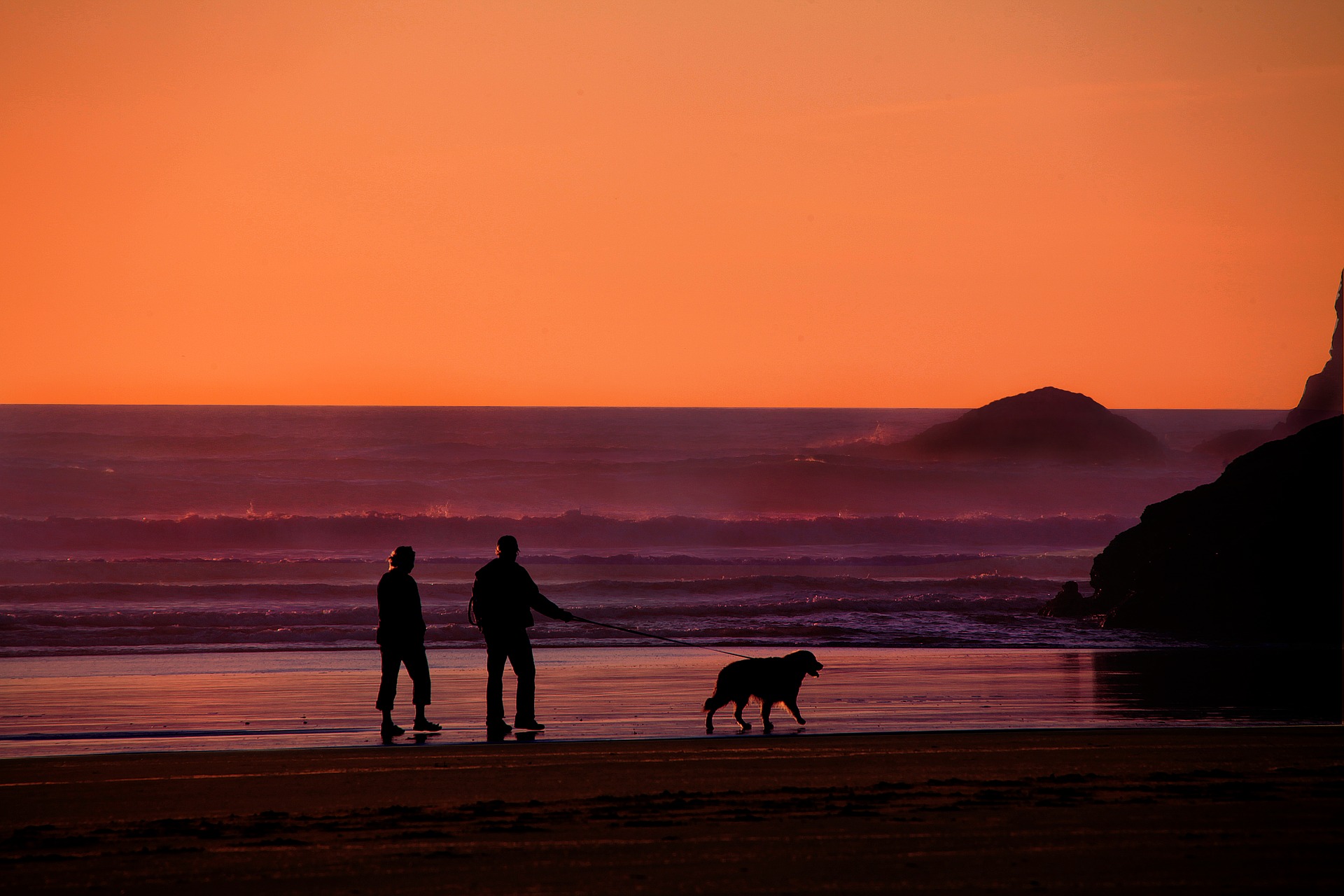 Two people walk along the beach with a dog at sunset