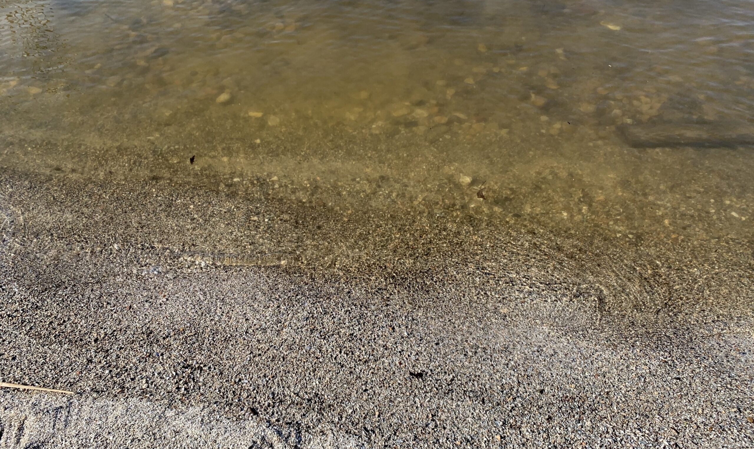 Water laps on the shore of Green Bay