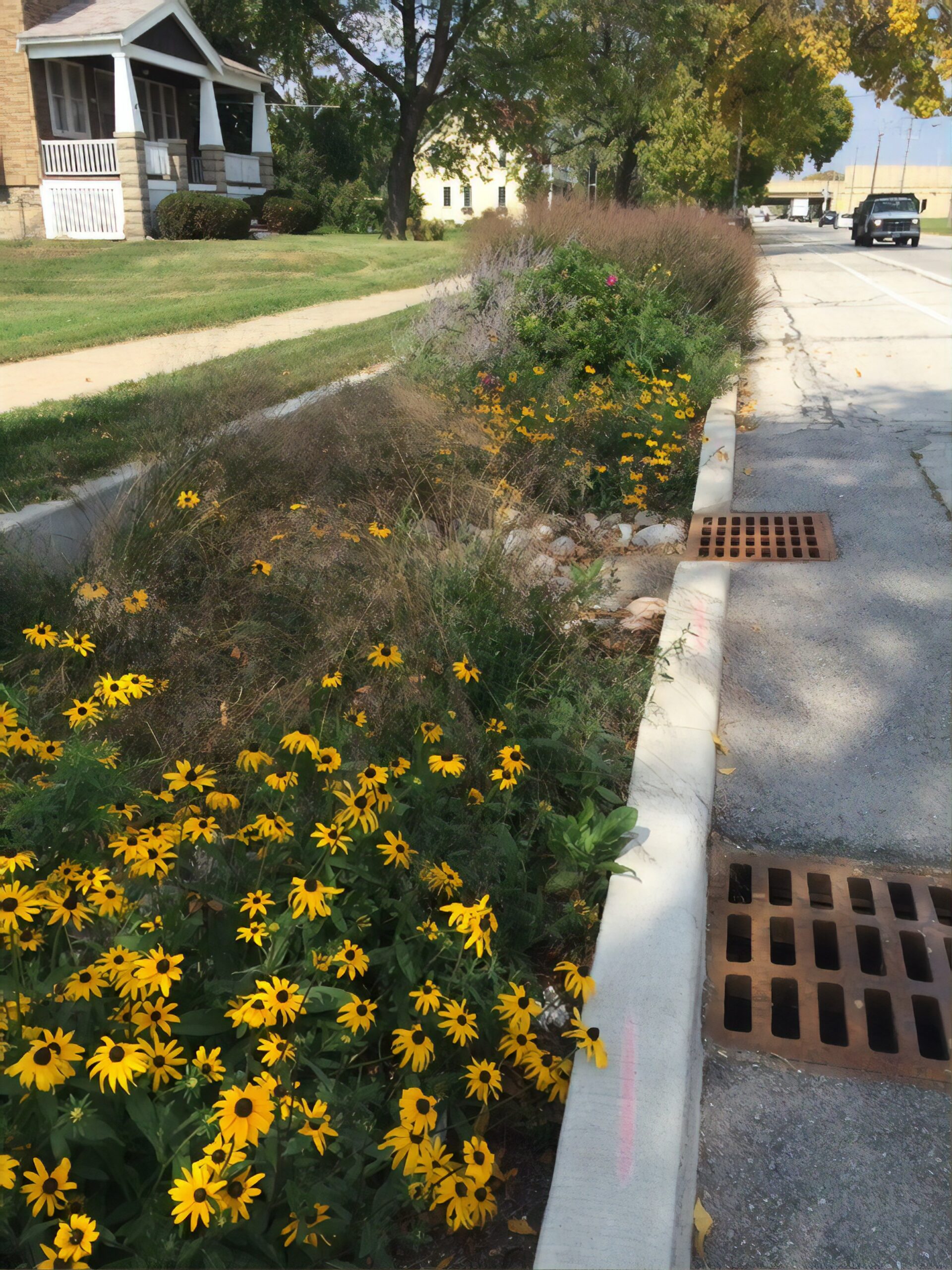 Green infrastructure used to capture stormwater