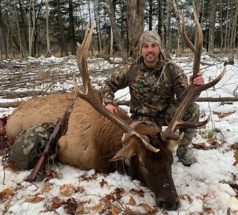 Hunter Harvests Elk In Clam Lake