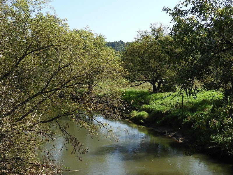 Kickapoo Valley Reserve