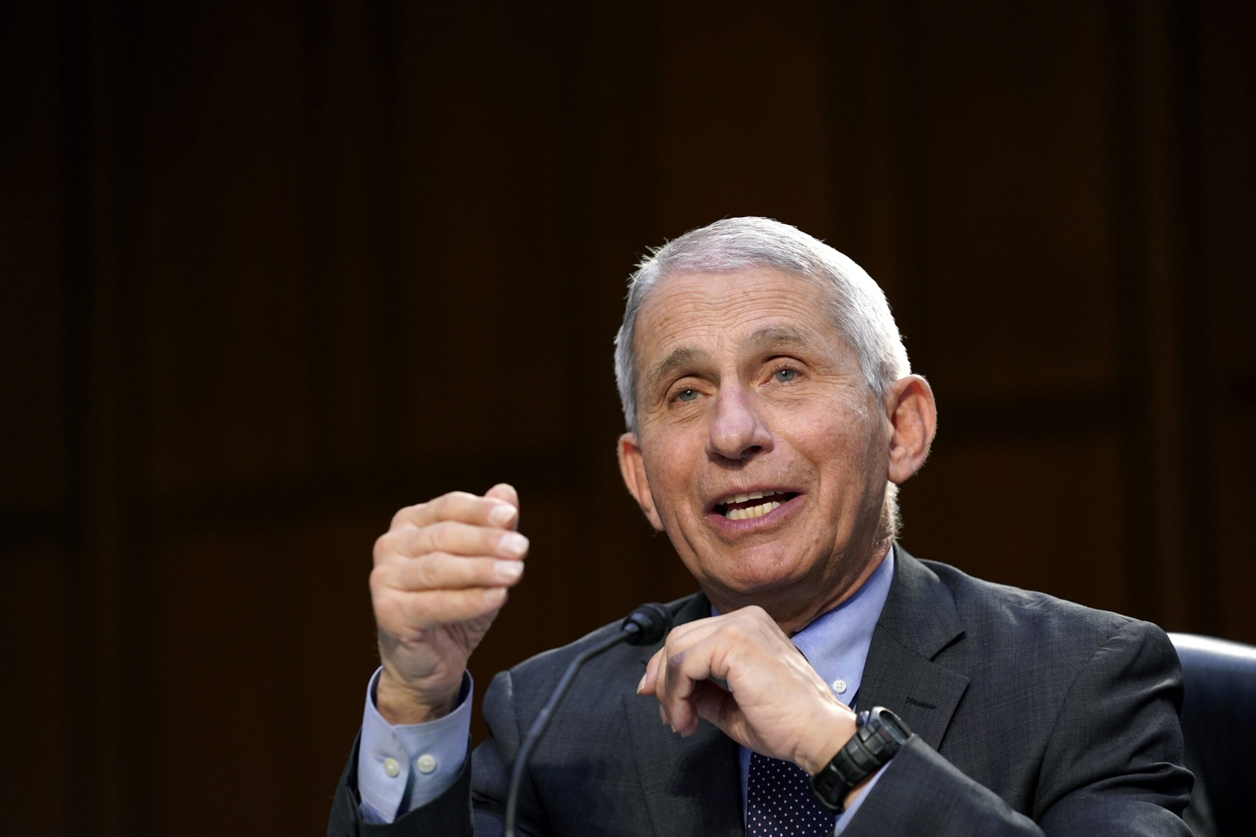 Dr. Anthony Fauci testifies during a Senate Health, Education, Labor and Pensions Committee hearing