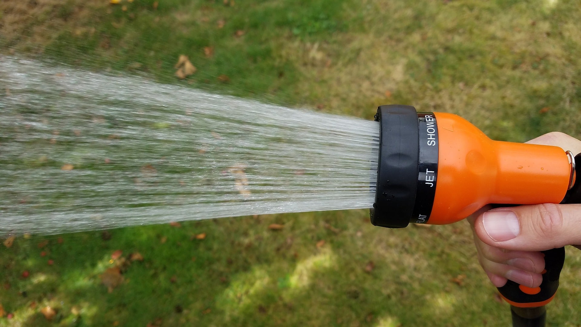Sprayer at the end of gaarden hose.