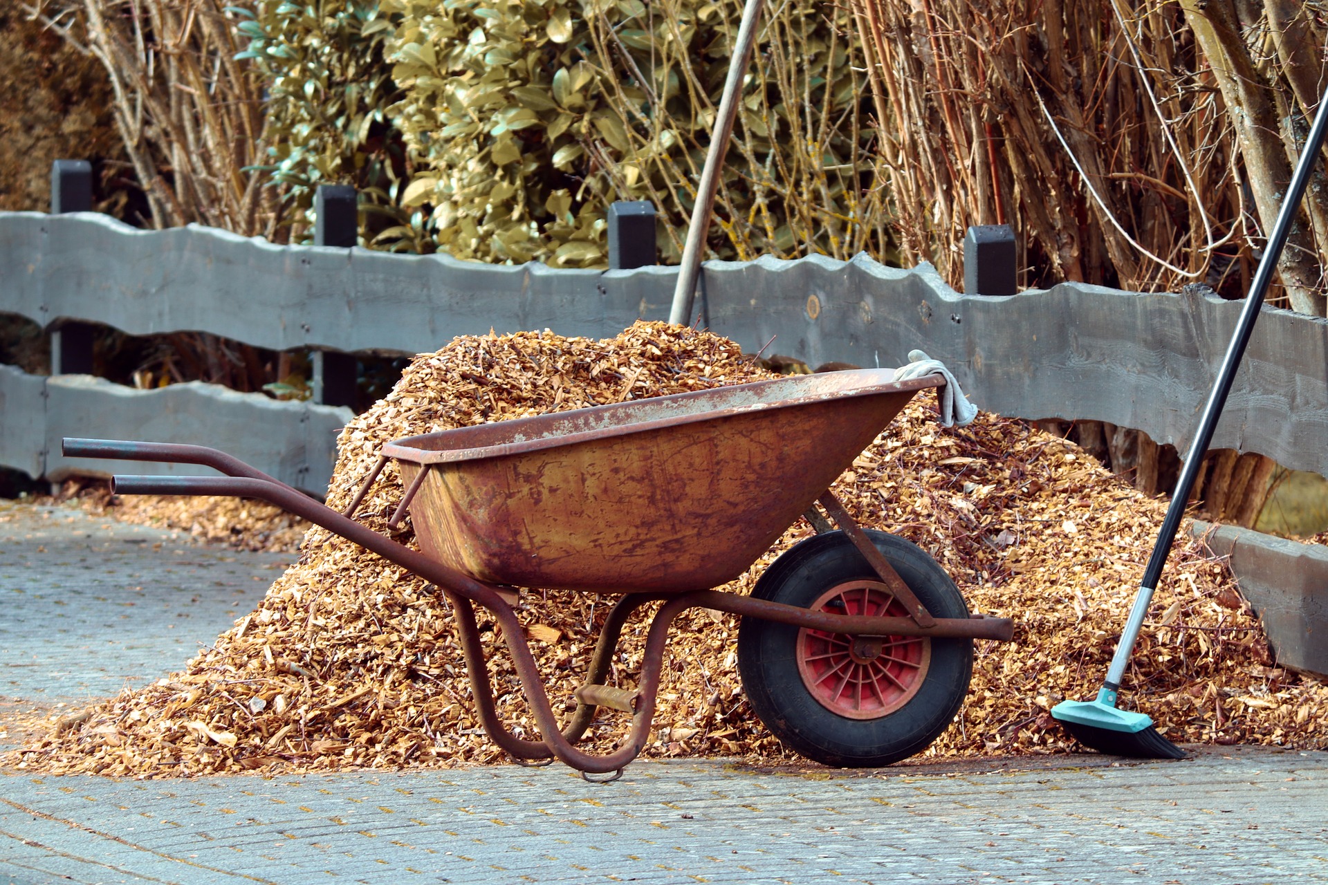 Wheelbarrow with mulch.