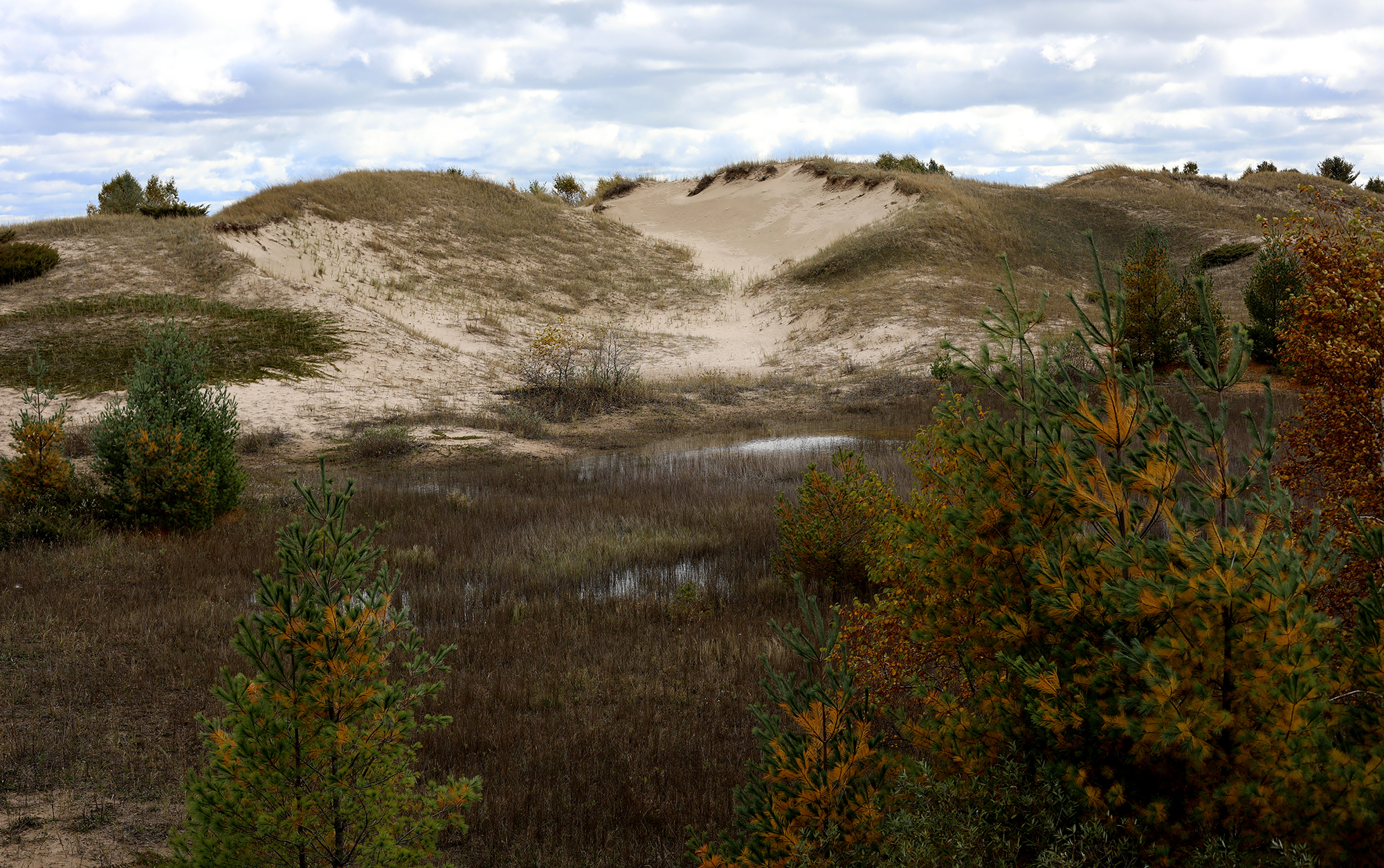 Sand dunes are seen at Kohler-Andrae State Park