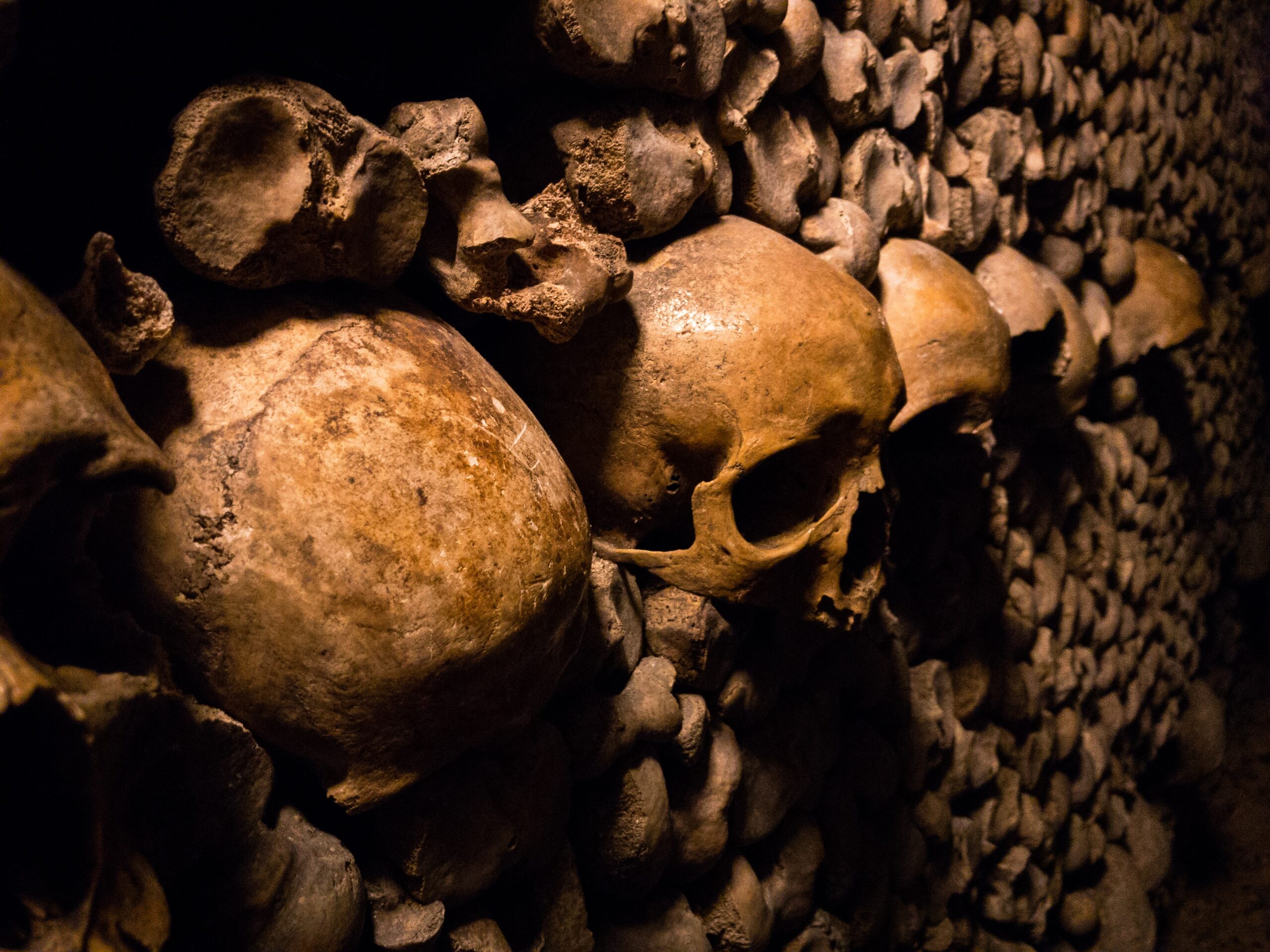 Skulls and bones in the Paris Catacombs